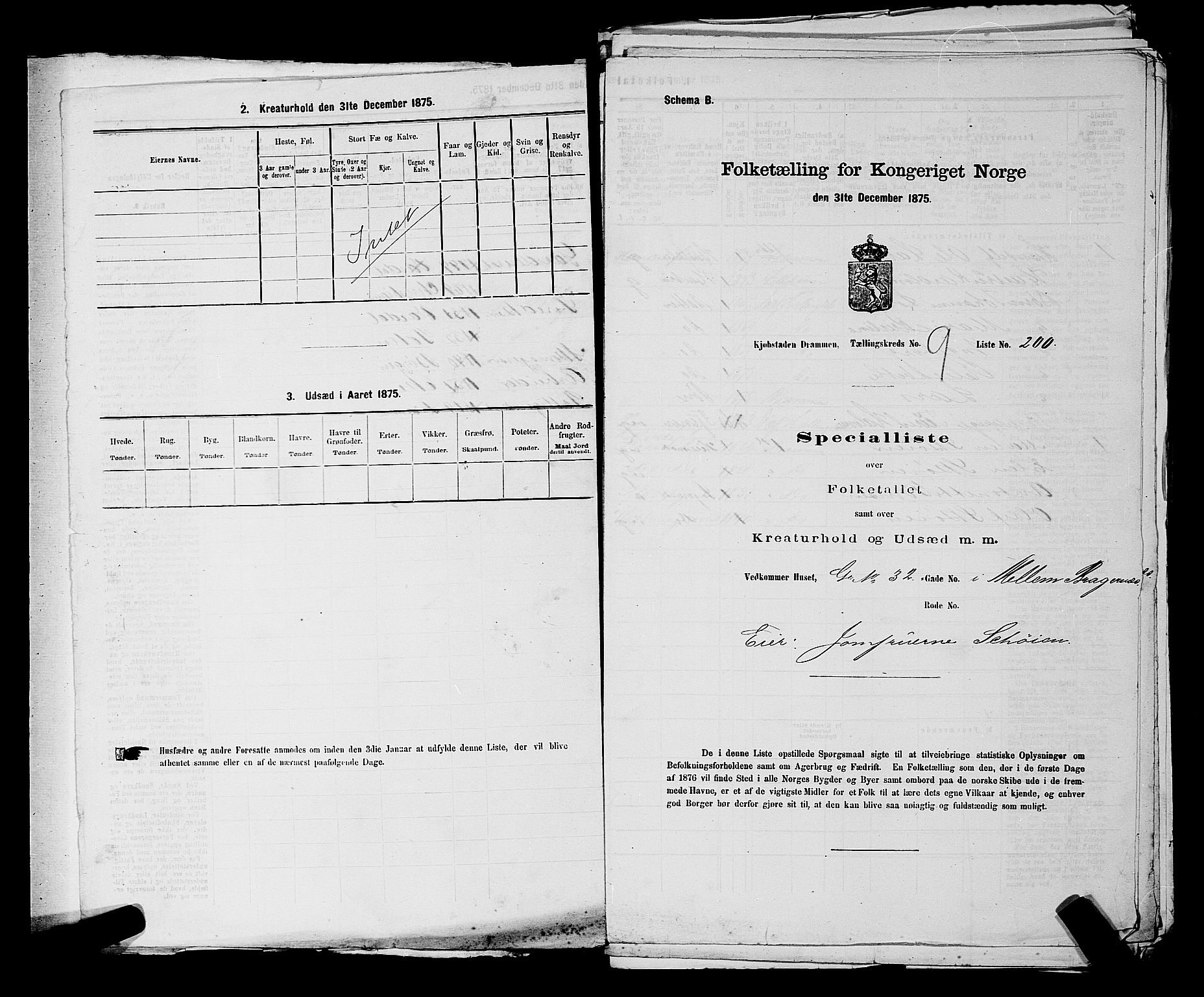 SAKO, 1875 census for 0602 Drammen, 1875, p. 808