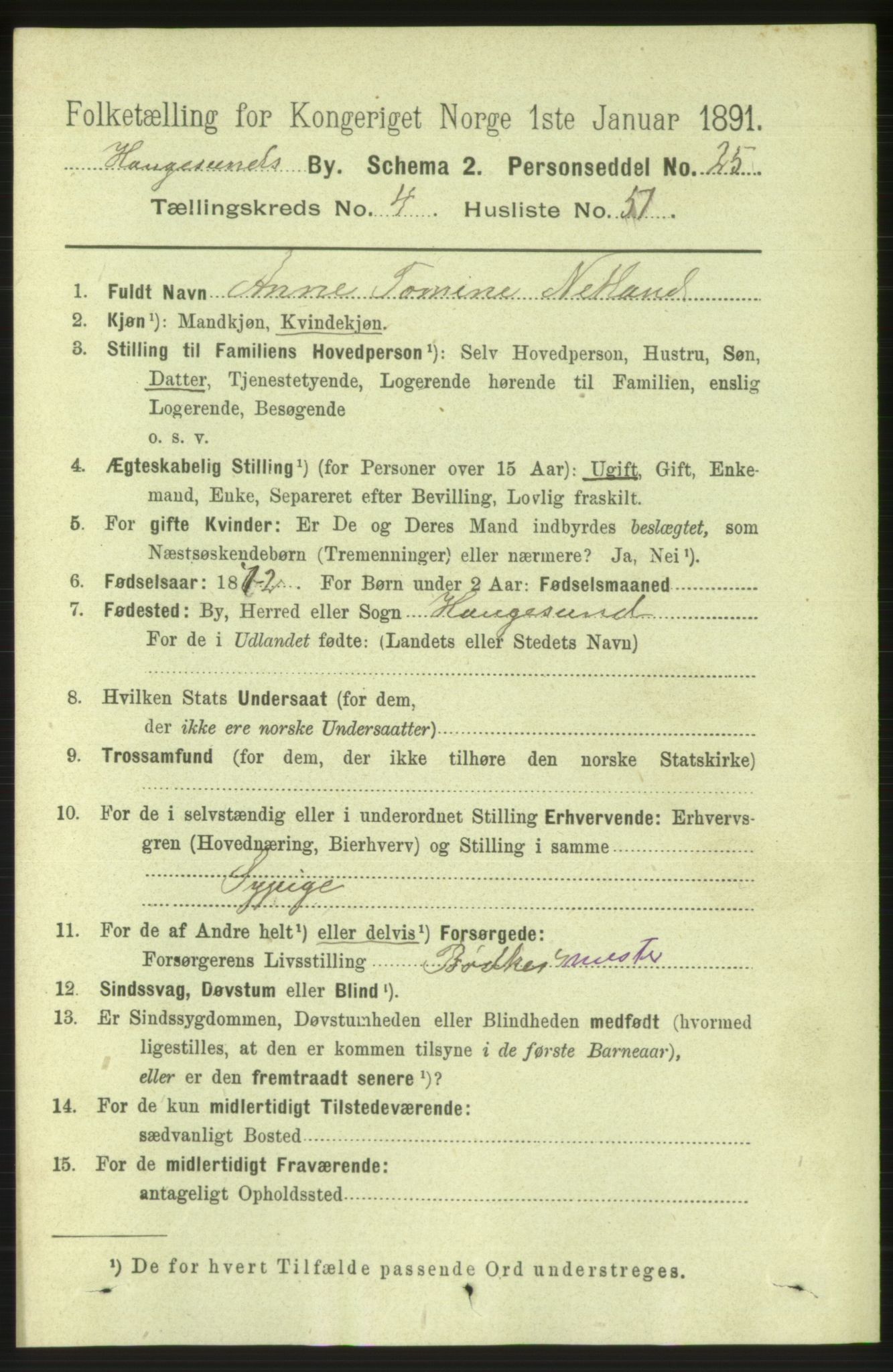 RA, 1891 census for 1106 Haugesund, 1891, p. 1923