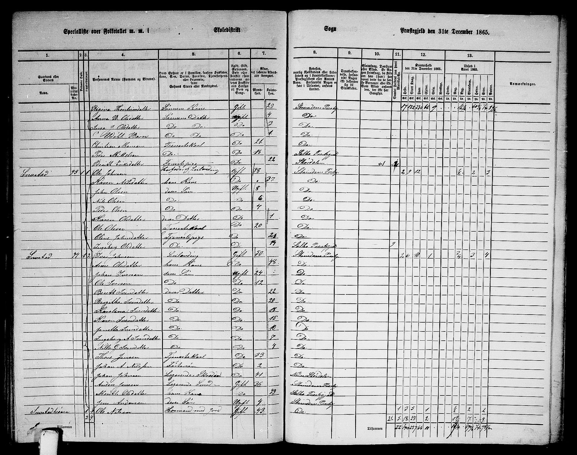 RA, 1865 census for Strinda, 1865, p. 260