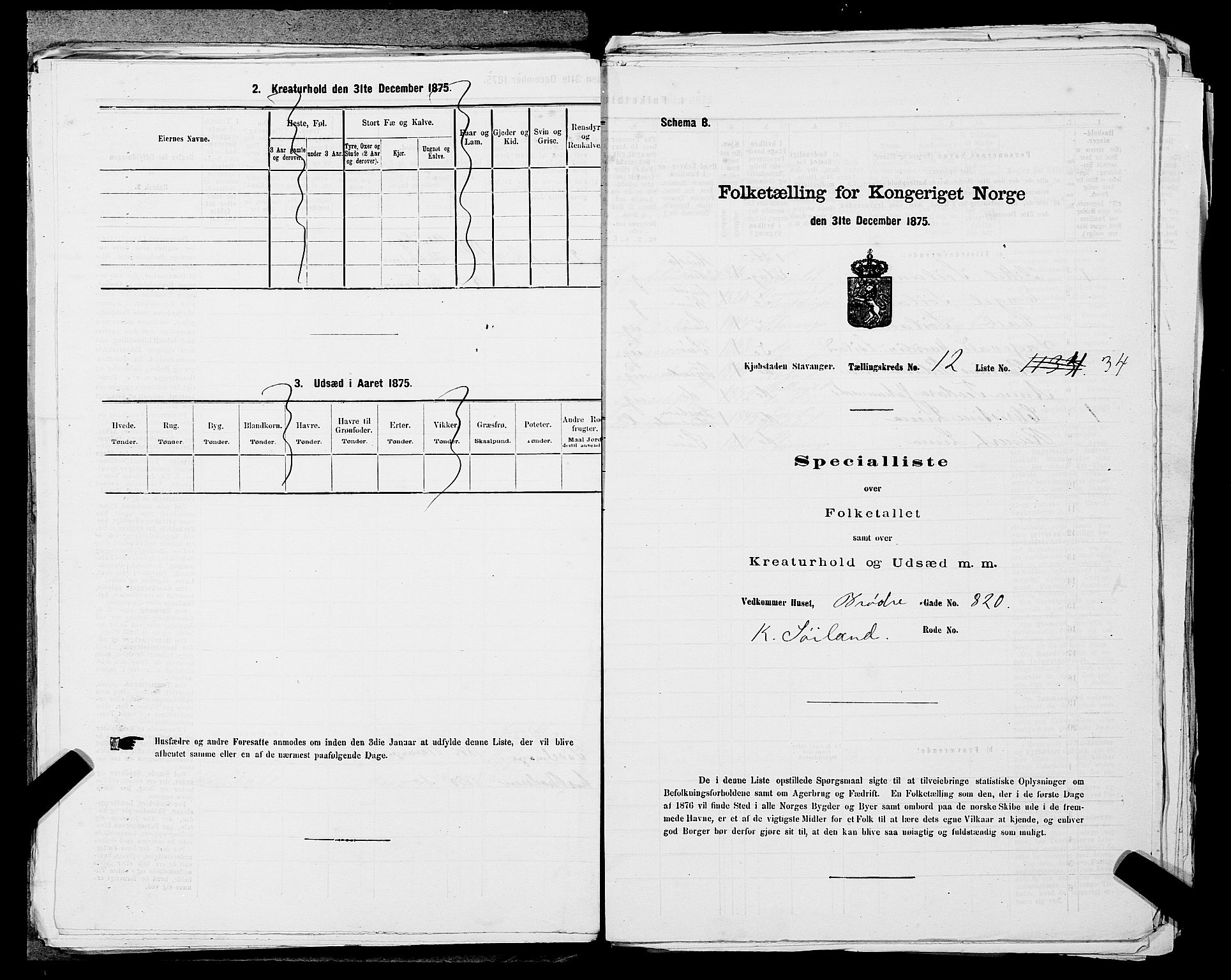 SAST, 1875 census for 1103 Stavanger, 1875, p. 2348