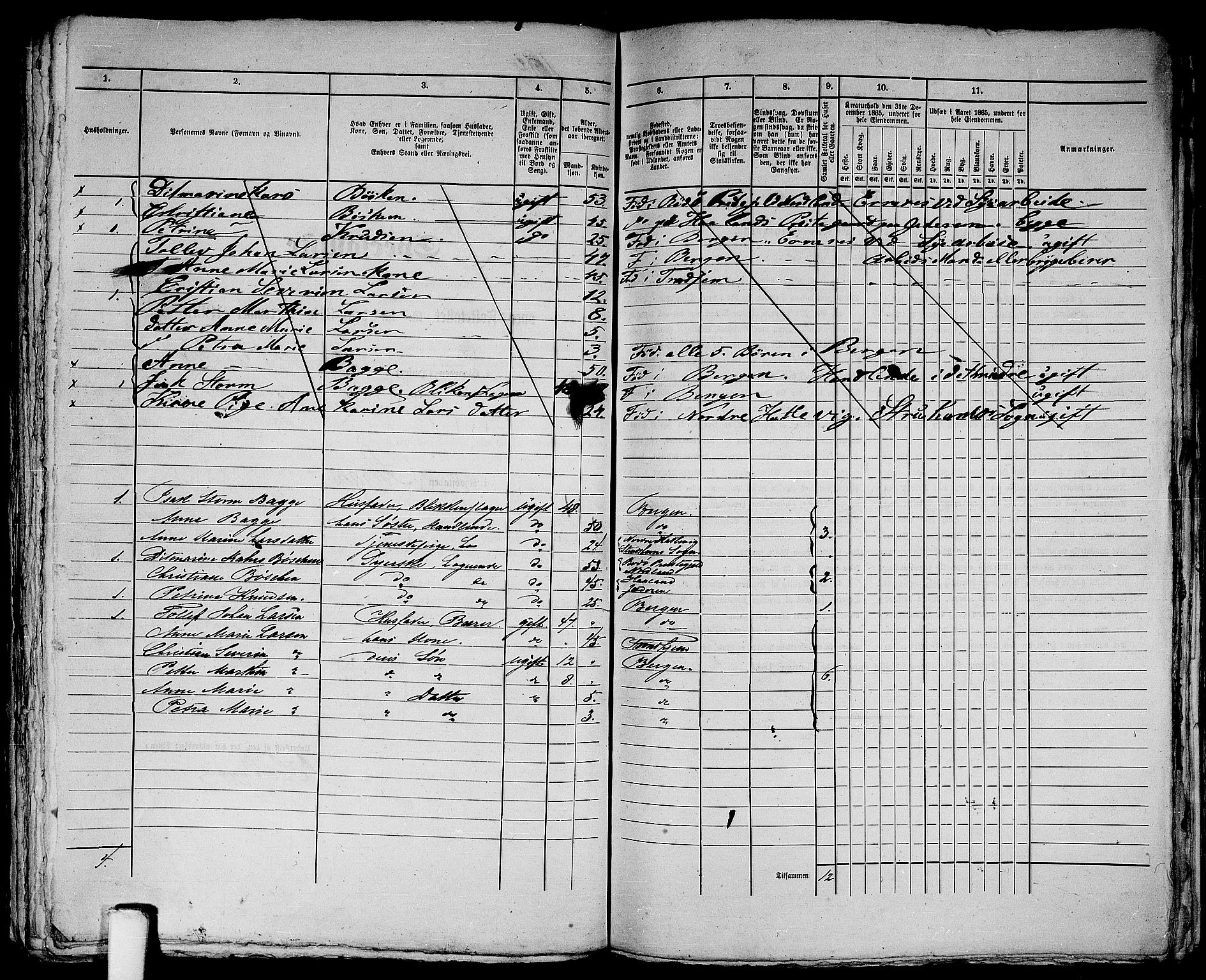 RA, 1865 census for Bergen, 1865, p. 433