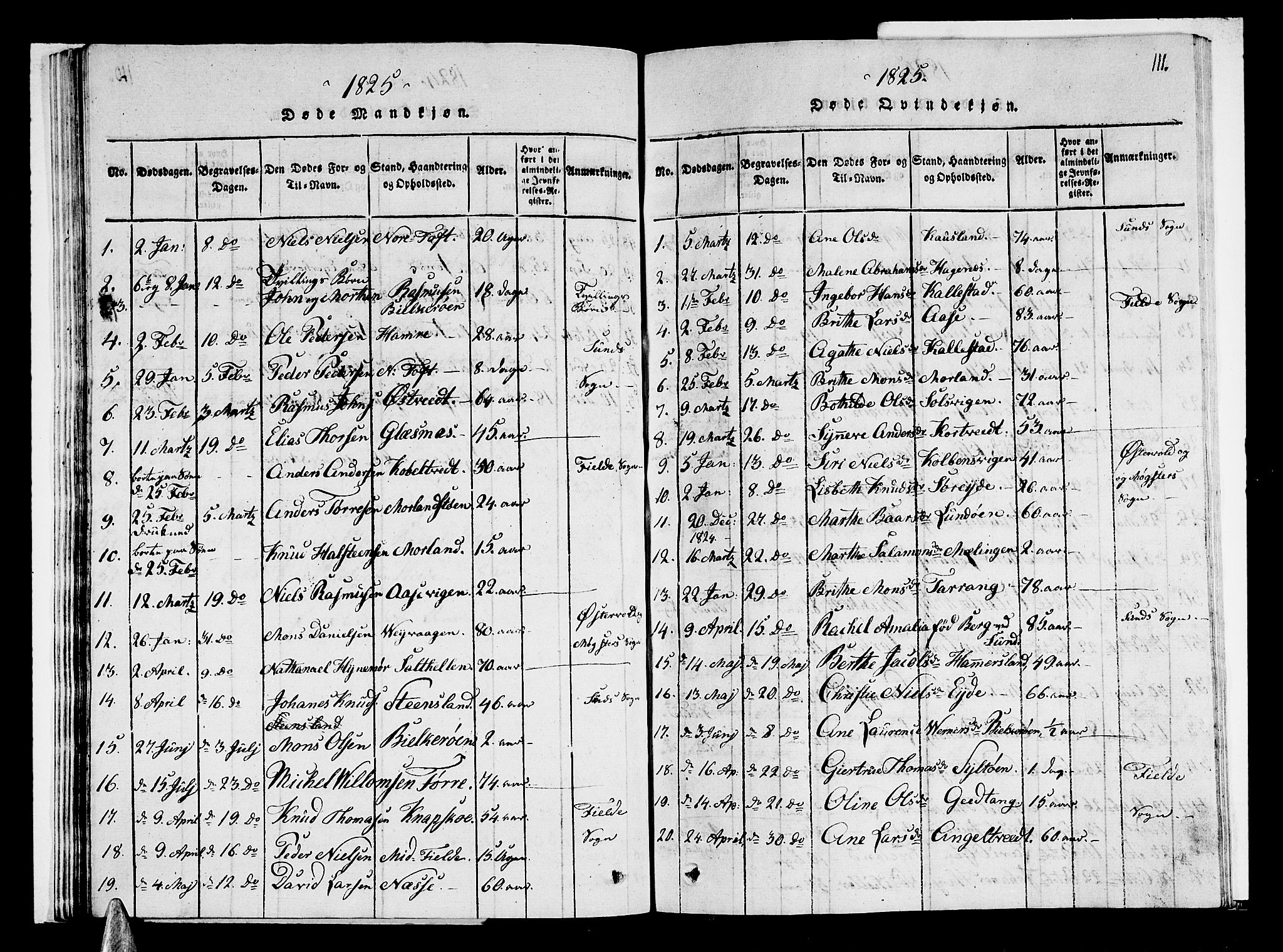 Sund sokneprestembete, AV/SAB-A-99930: Parish register (copy) no. A 1, 1816-1827, p. 111