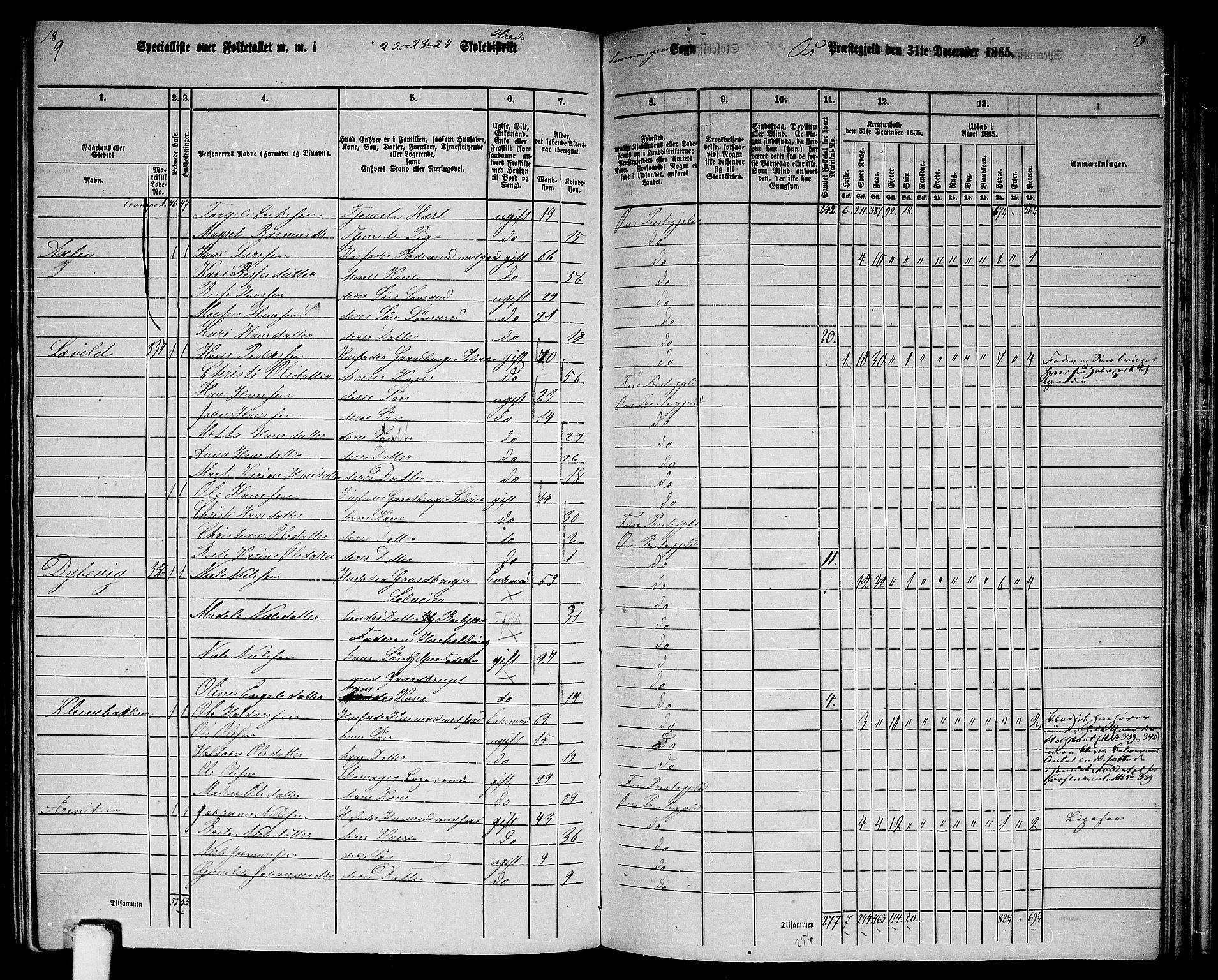 RA, 1865 census for Os, 1865, p. 146