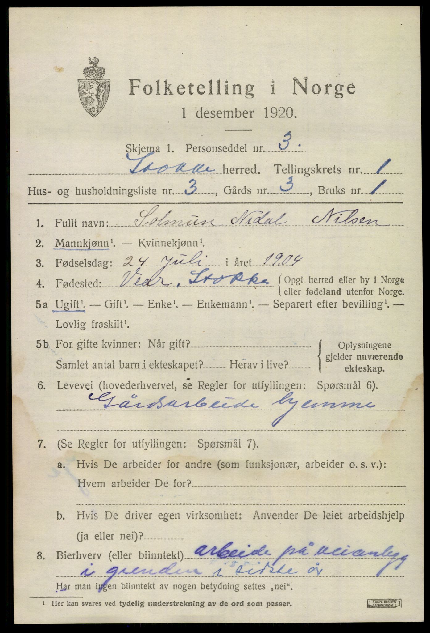 SAKO, 1920 census for Stokke, 1920, p. 2060