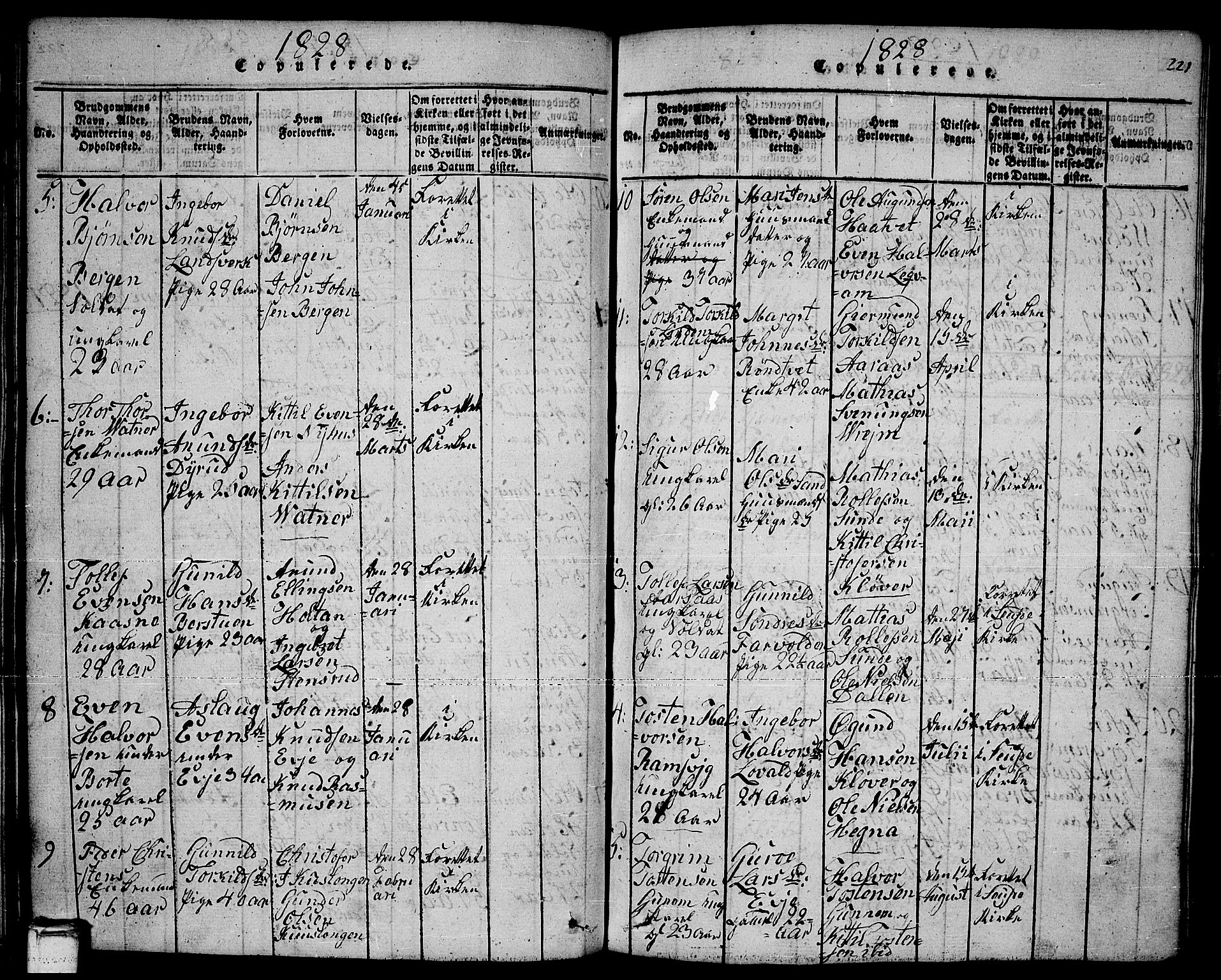 Sauherad kirkebøker, AV/SAKO-A-298/F/Fa/L0005: Parish register (official) no. I 5, 1815-1829, p. 223