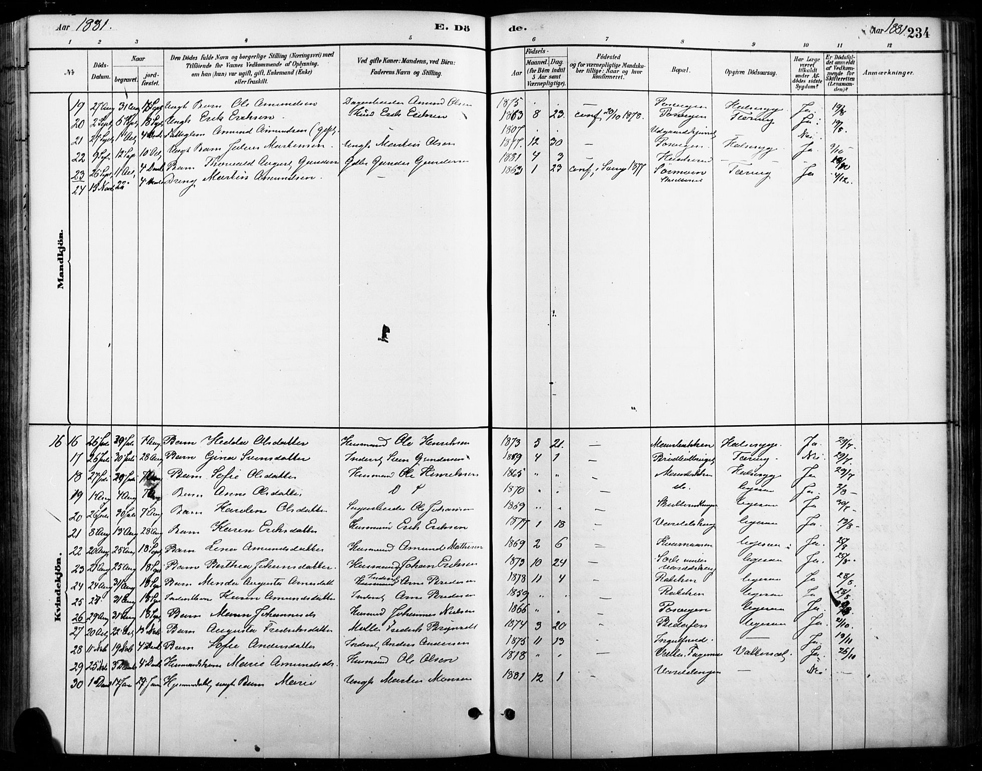 Vinger prestekontor, AV/SAH-PREST-024/H/Ha/Haa/L0015: Parish register (official) no. 15, 1881-1900, p. 234