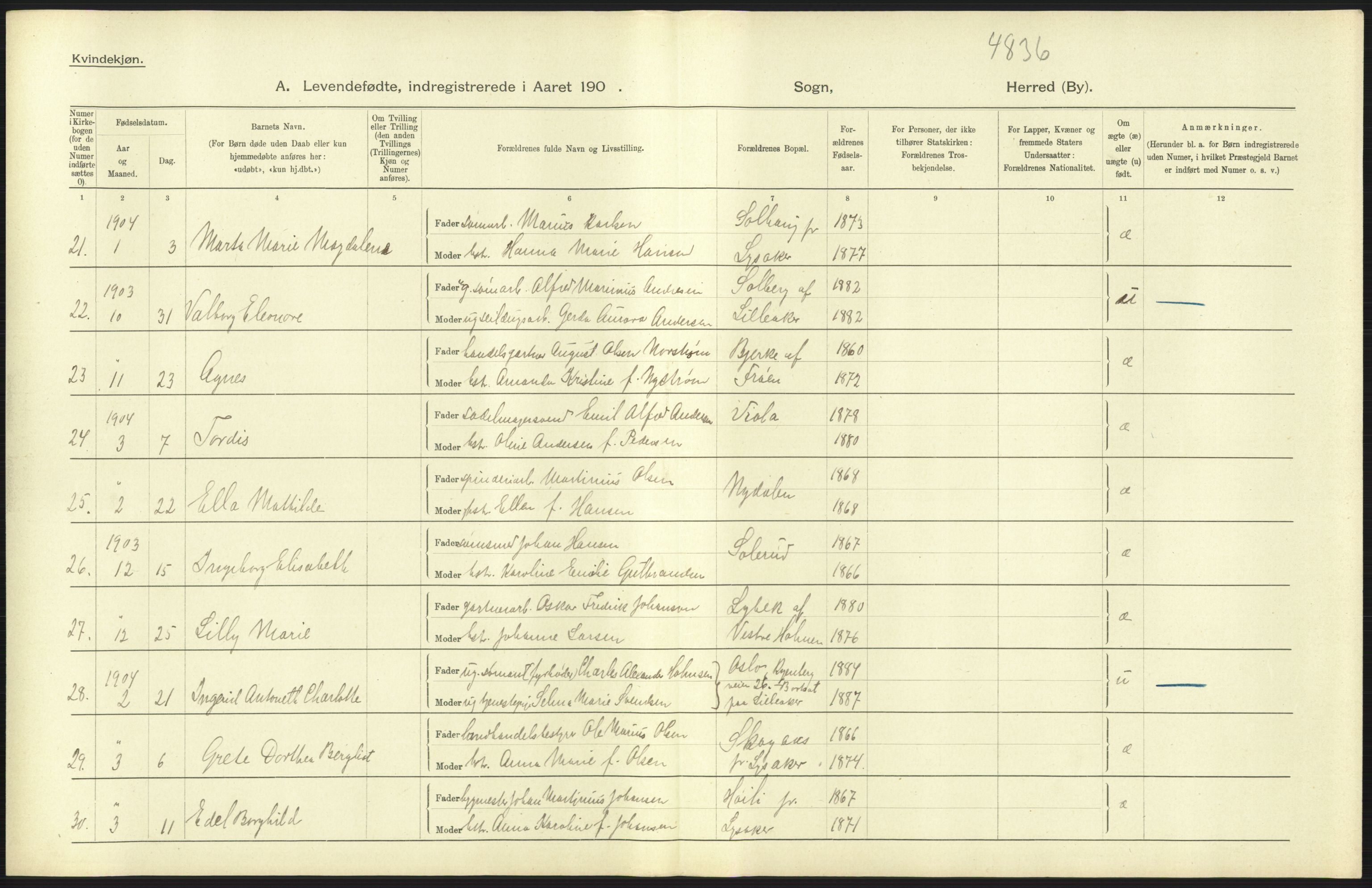 Statistisk sentralbyrå, Sosiodemografiske emner, Befolkning, AV/RA-S-2228/D/Df/Dfa/Dfab/L0002: Akershus amt: Fødte, gifte, døde, 1904, p. 423