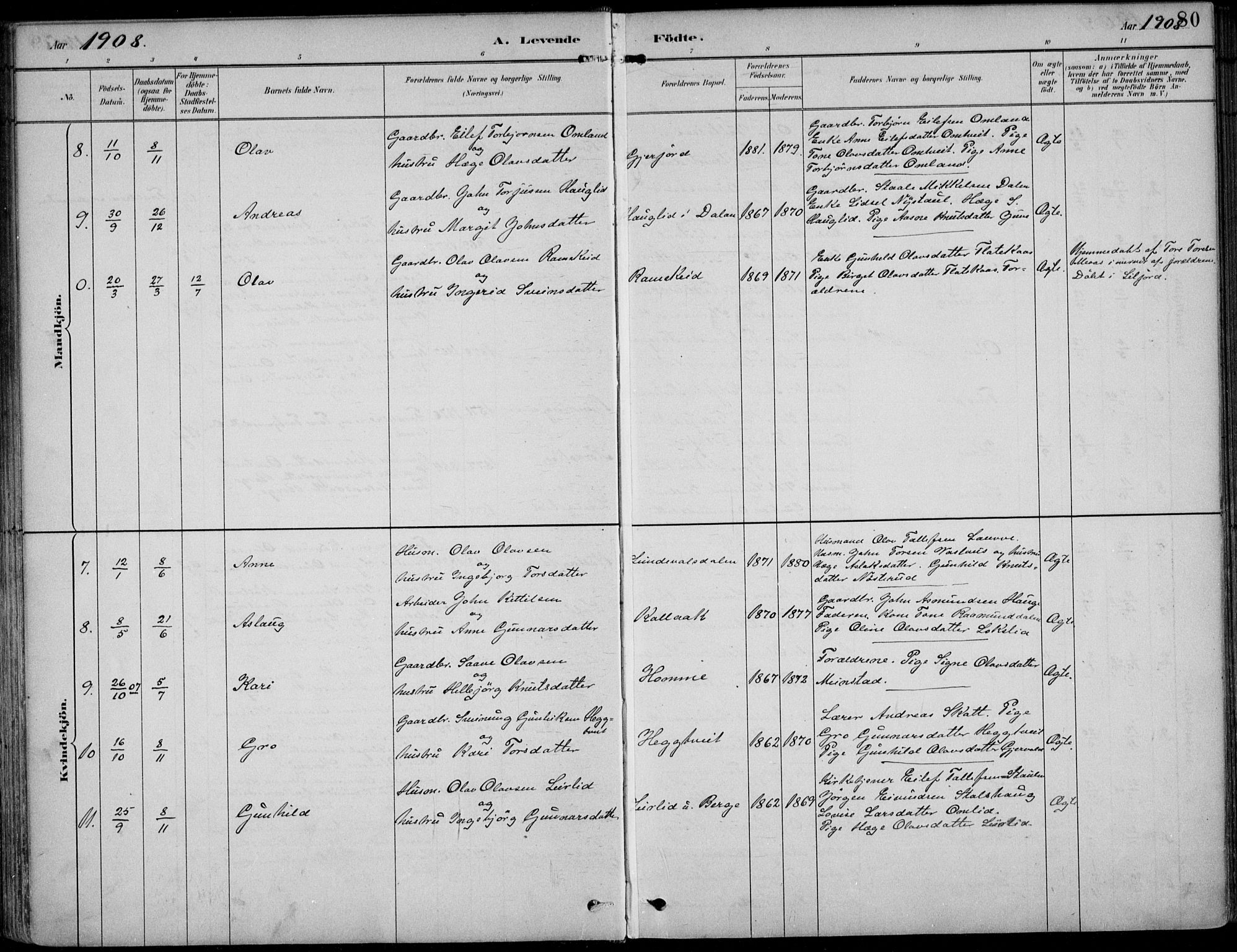 Kviteseid kirkebøker, SAKO/A-276/F/Fb/L0002: Parish register (official) no. II 2, 1882-1916, p. 80