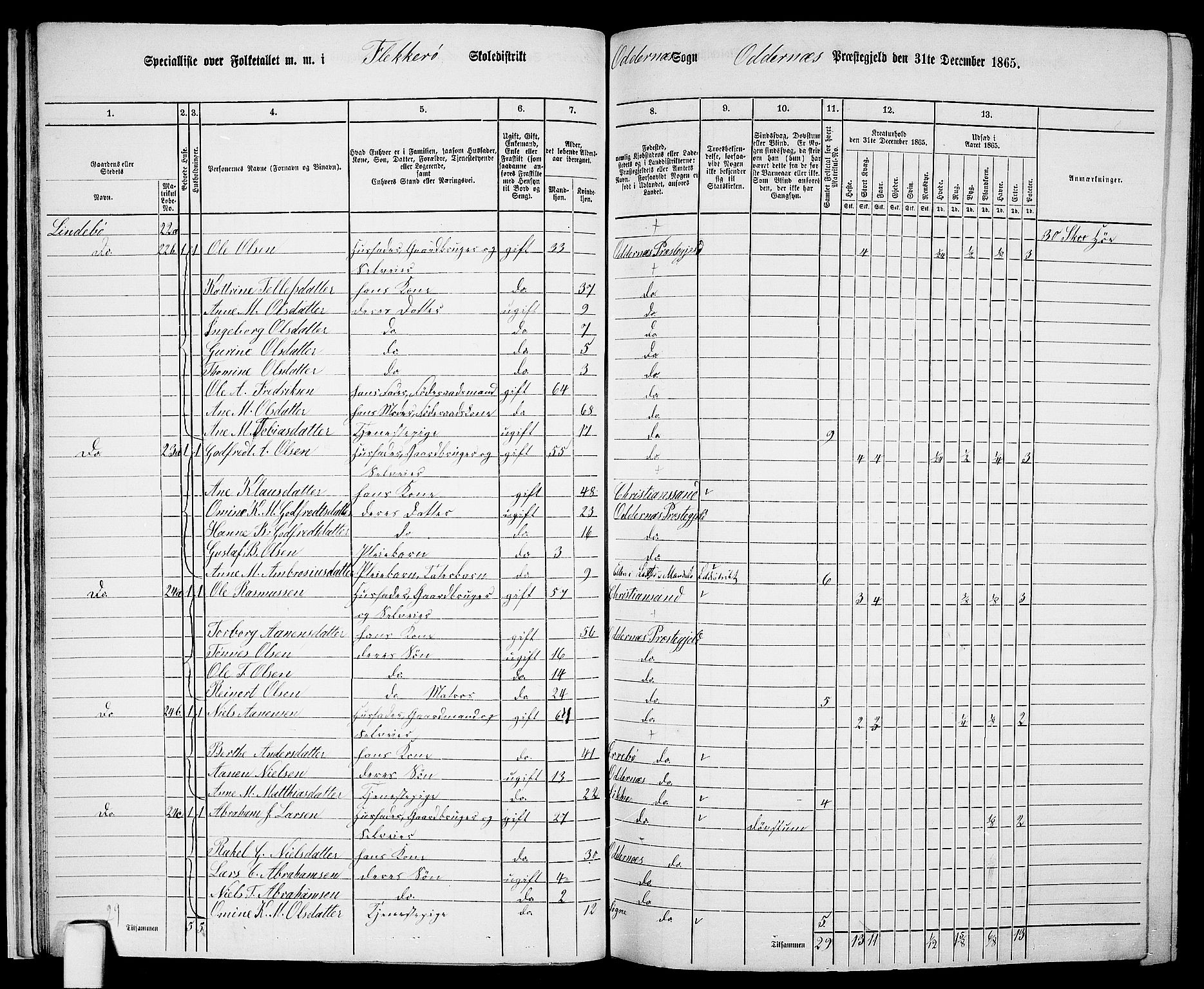 RA, 1865 census for Oddernes, 1865, p. 25