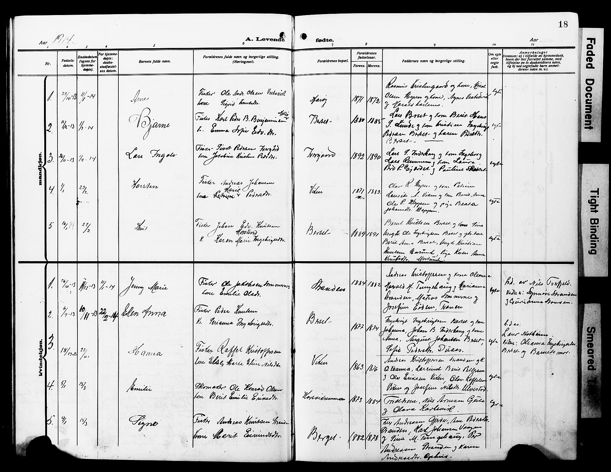 Ministerialprotokoller, klokkerbøker og fødselsregistre - Møre og Romsdal, SAT/A-1454/566/L0774: Parish register (copy) no. 566C03, 1910-1929, p. 18