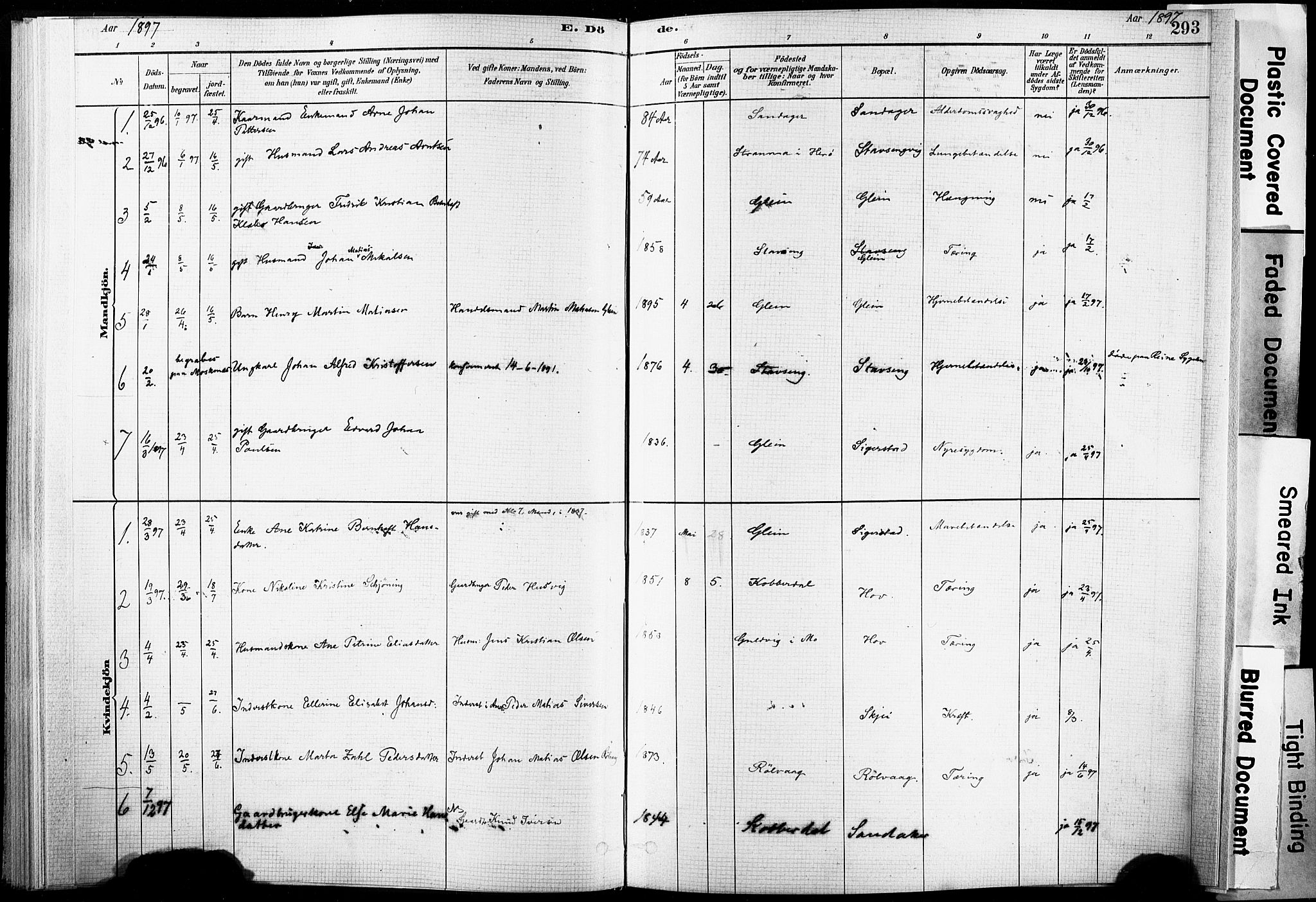 Ministerialprotokoller, klokkerbøker og fødselsregistre - Nordland, AV/SAT-A-1459/835/L0526: Parish register (official) no. 835A03II, 1881-1910, p. 293