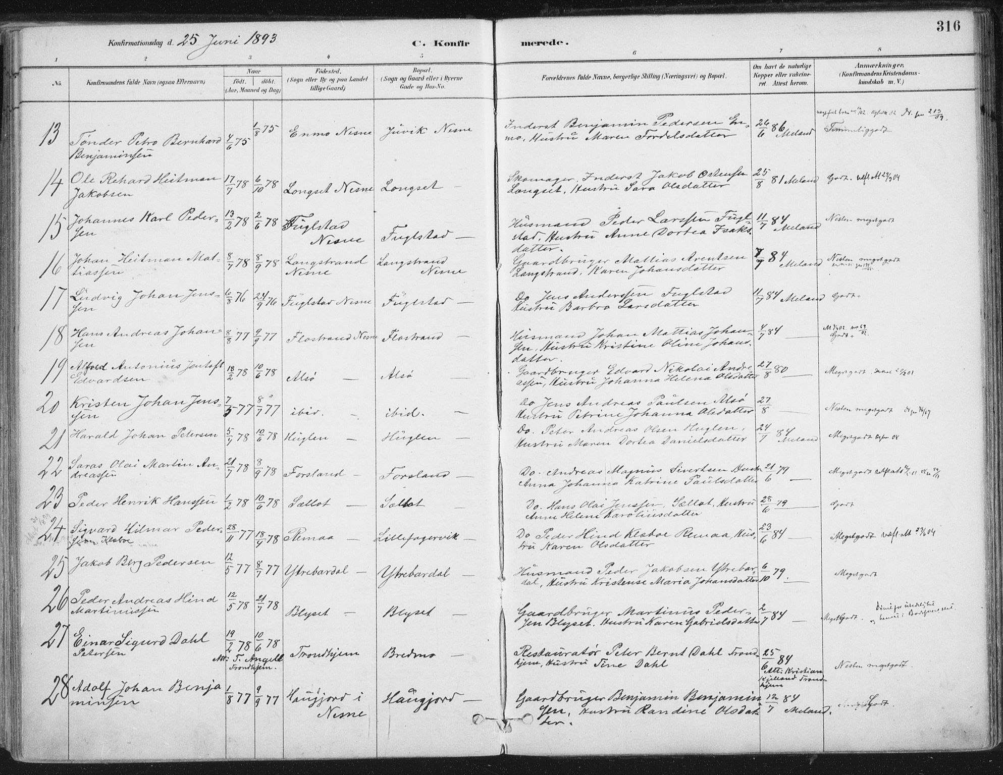 Ministerialprotokoller, klokkerbøker og fødselsregistre - Nordland, AV/SAT-A-1459/838/L0552: Parish register (official) no. 838A10, 1880-1910, p. 316