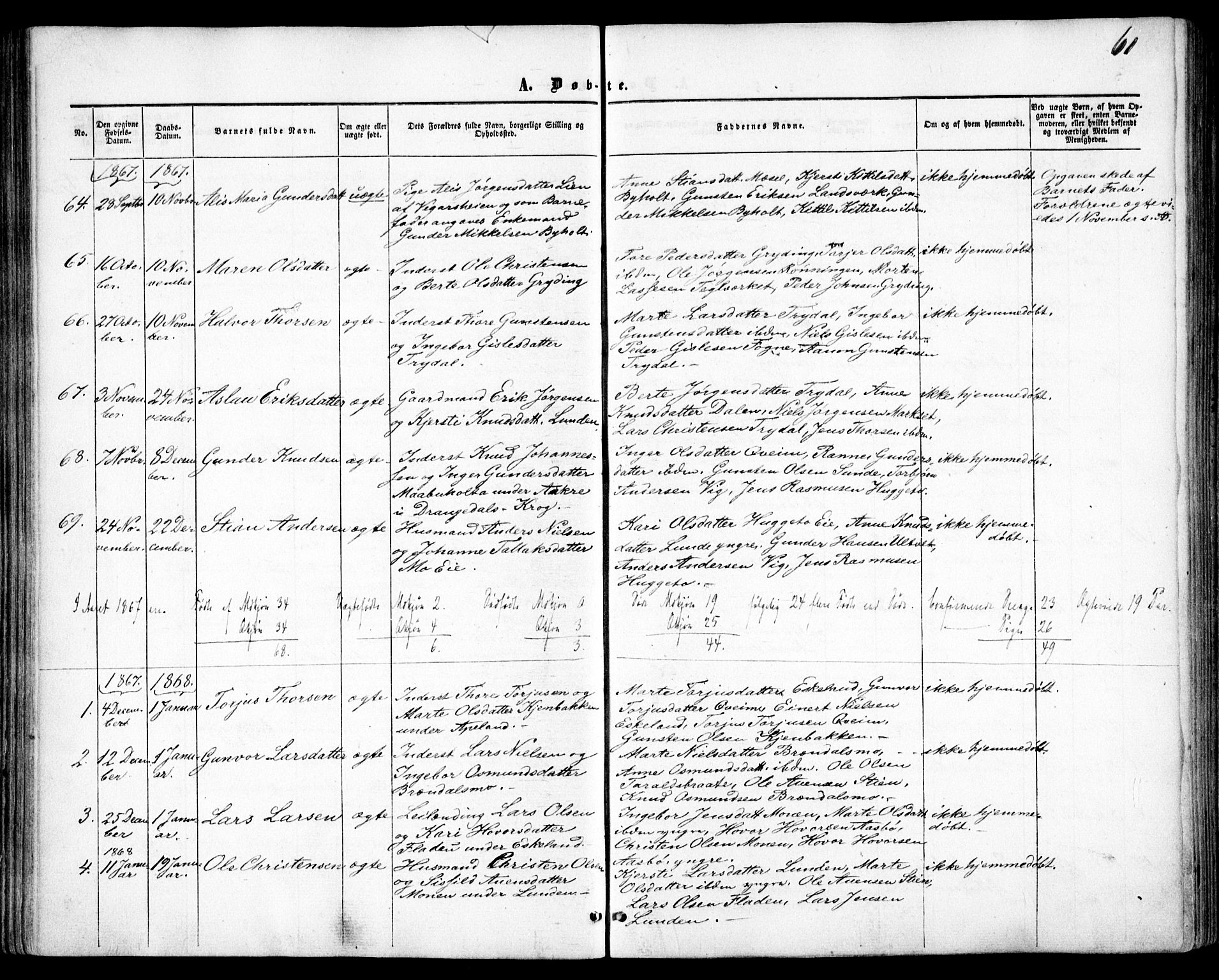 Gjerstad sokneprestkontor, AV/SAK-1111-0014/F/Fa/Faa/L0007: Parish register (official) no. A 7, 1858-1875, p. 61