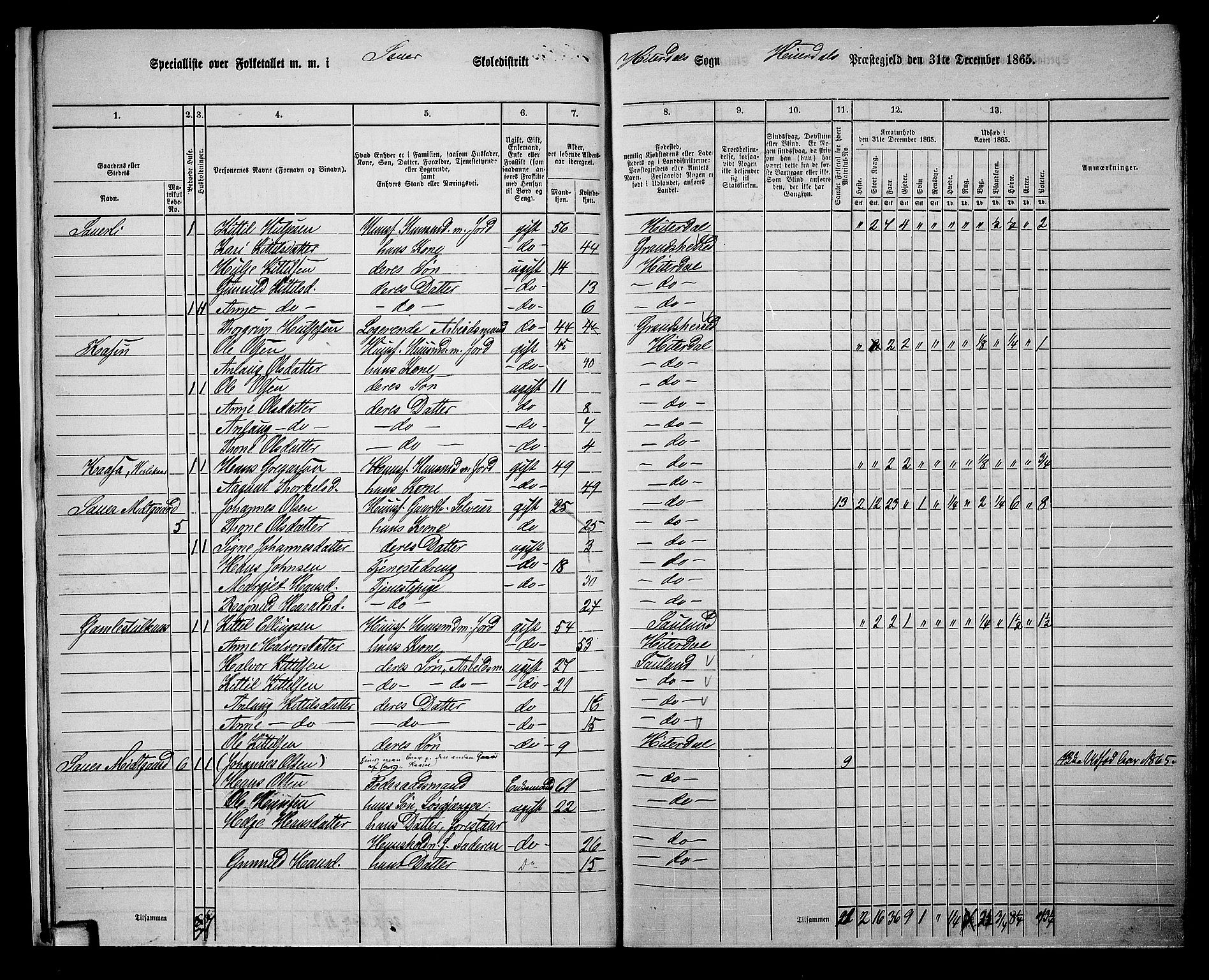 RA, 1865 census for Heddal, 1865, p. 16