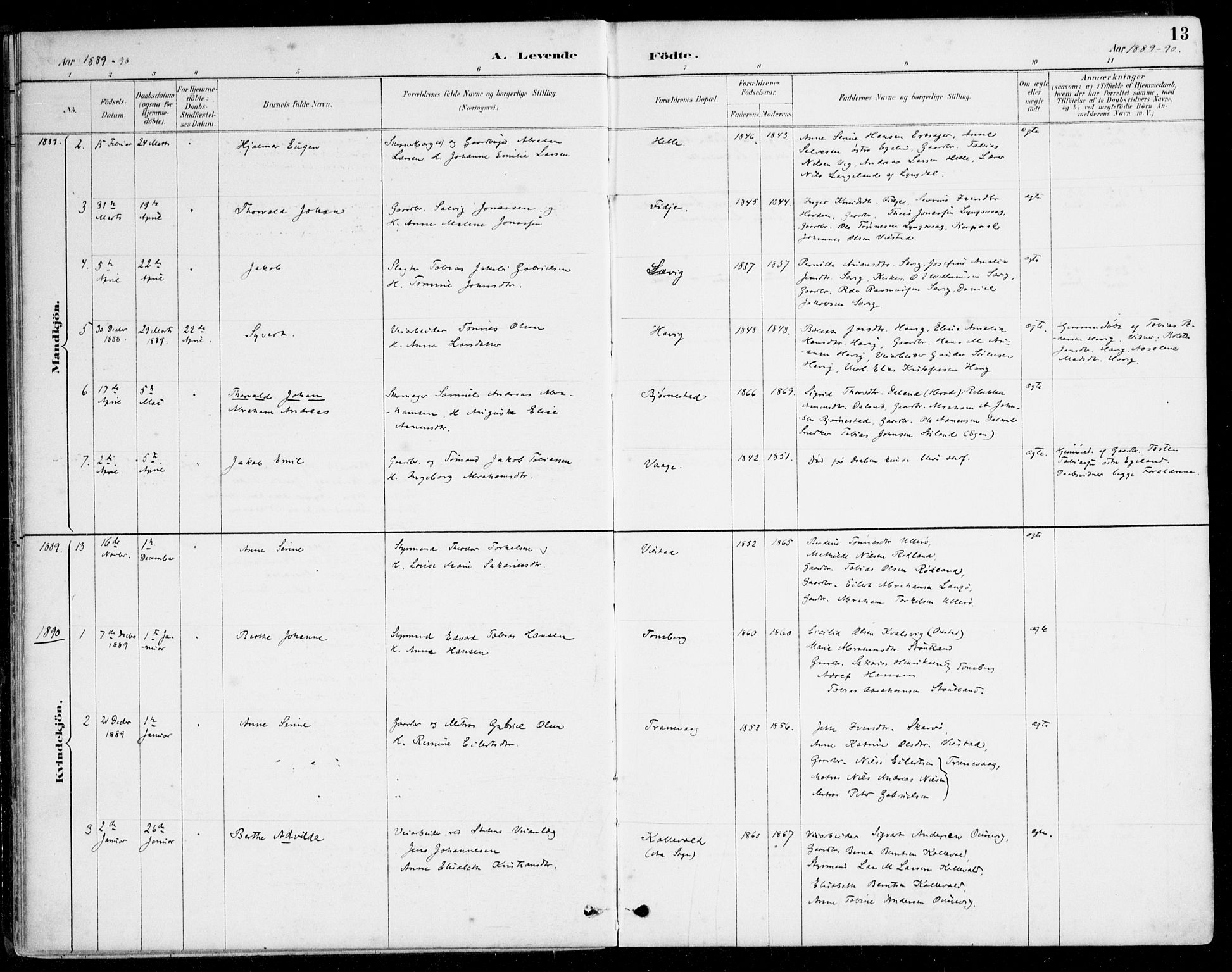 Herad sokneprestkontor, SAK/1111-0018/F/Fa/Fab/L0005: Parish register (official) no. A 5, 1886-1913, p. 13