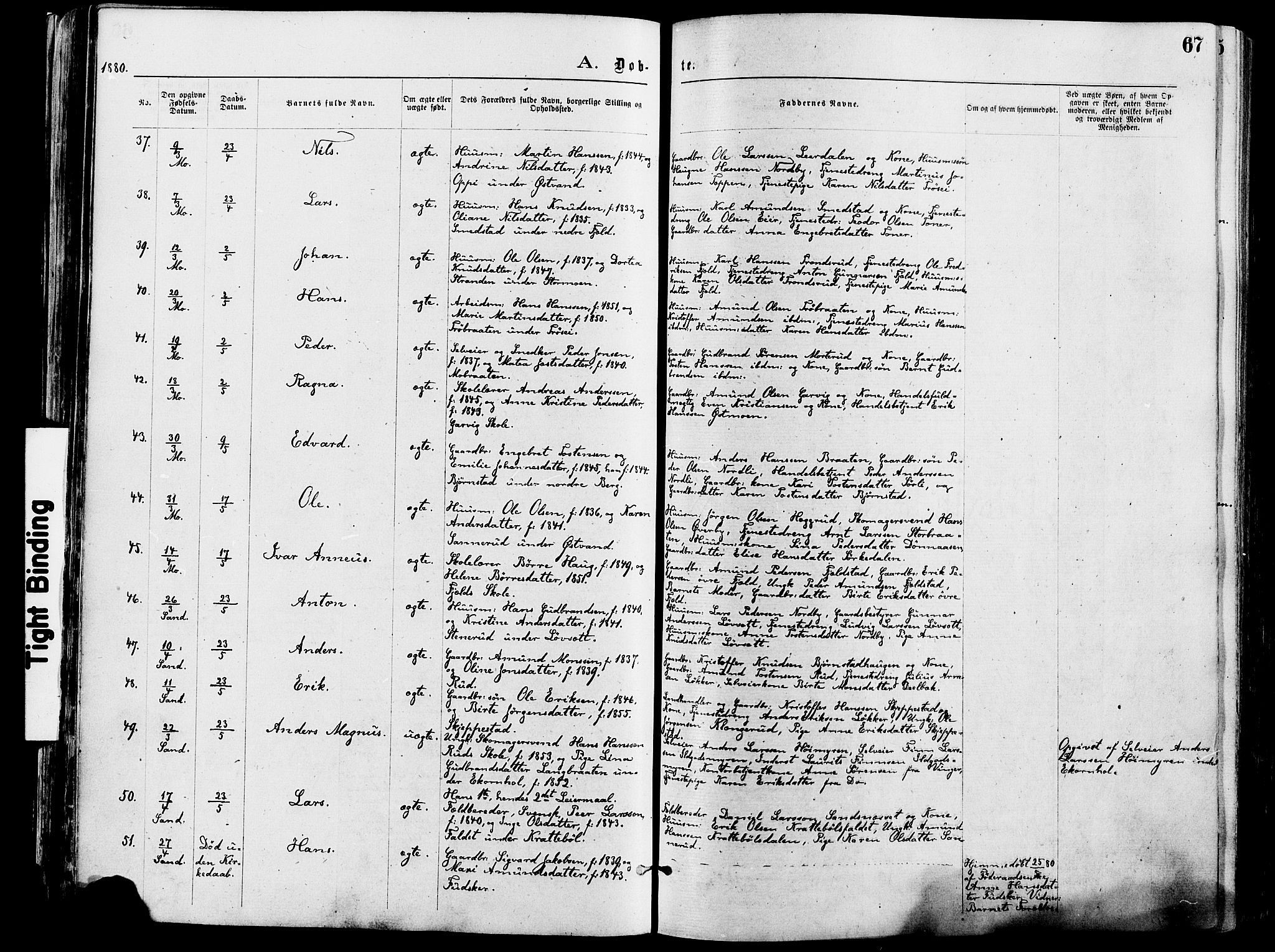 Nord-Odal prestekontor, AV/SAH-PREST-032/H/Ha/Haa/L0005: Parish register (official) no. 5, 1874-1885, p. 67