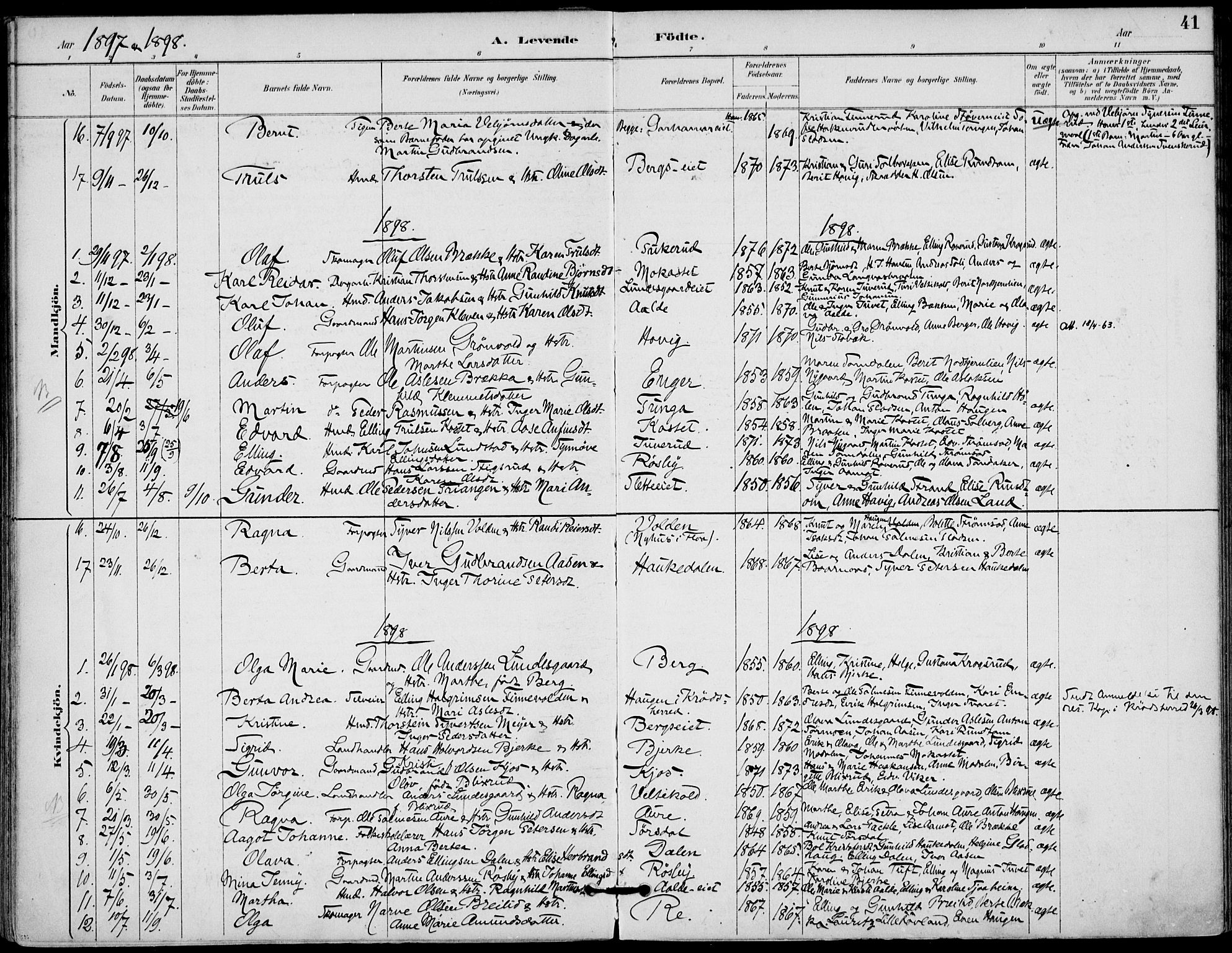 Lunder kirkebøker, AV/SAKO-A-629/F/Fa/L0001: Parish register (official) no. I 1, 1885-1912, p. 41