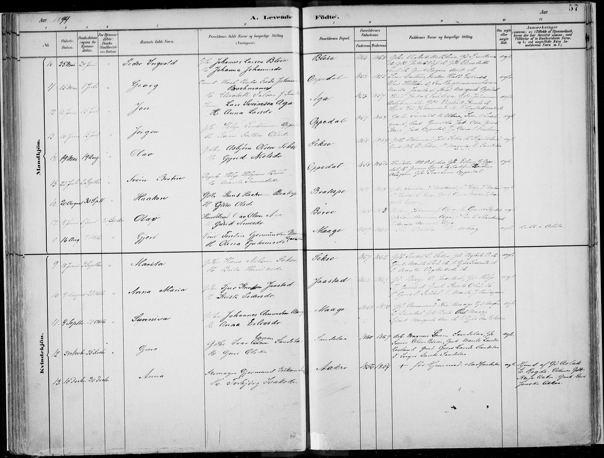 Ullensvang sokneprestembete, AV/SAB-A-78701/H/Haa: Parish register (official) no. B  1, 1882-1918, p. 57