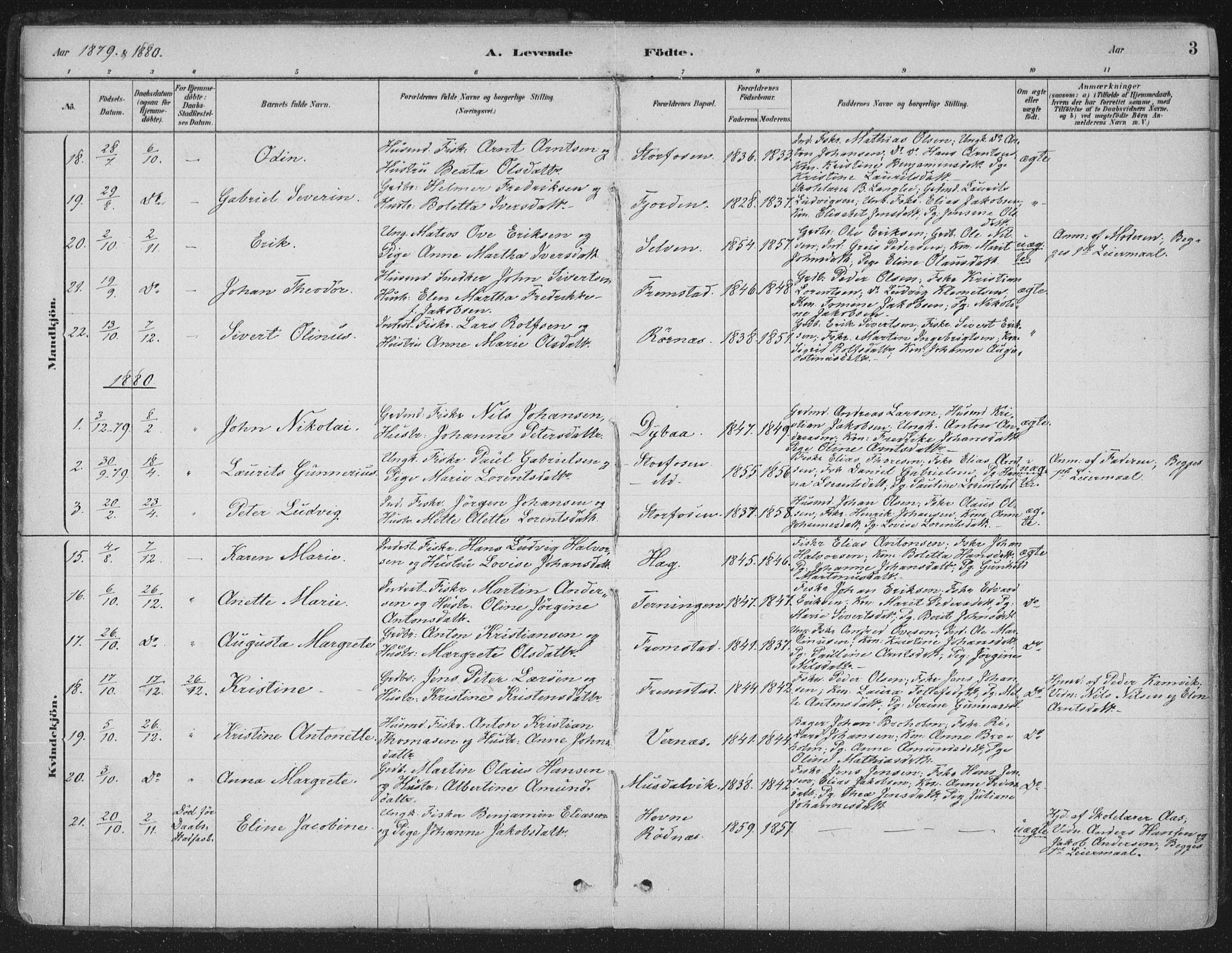 Ministerialprotokoller, klokkerbøker og fødselsregistre - Sør-Trøndelag, SAT/A-1456/662/L0755: Parish register (official) no. 662A01, 1879-1905, p. 3
