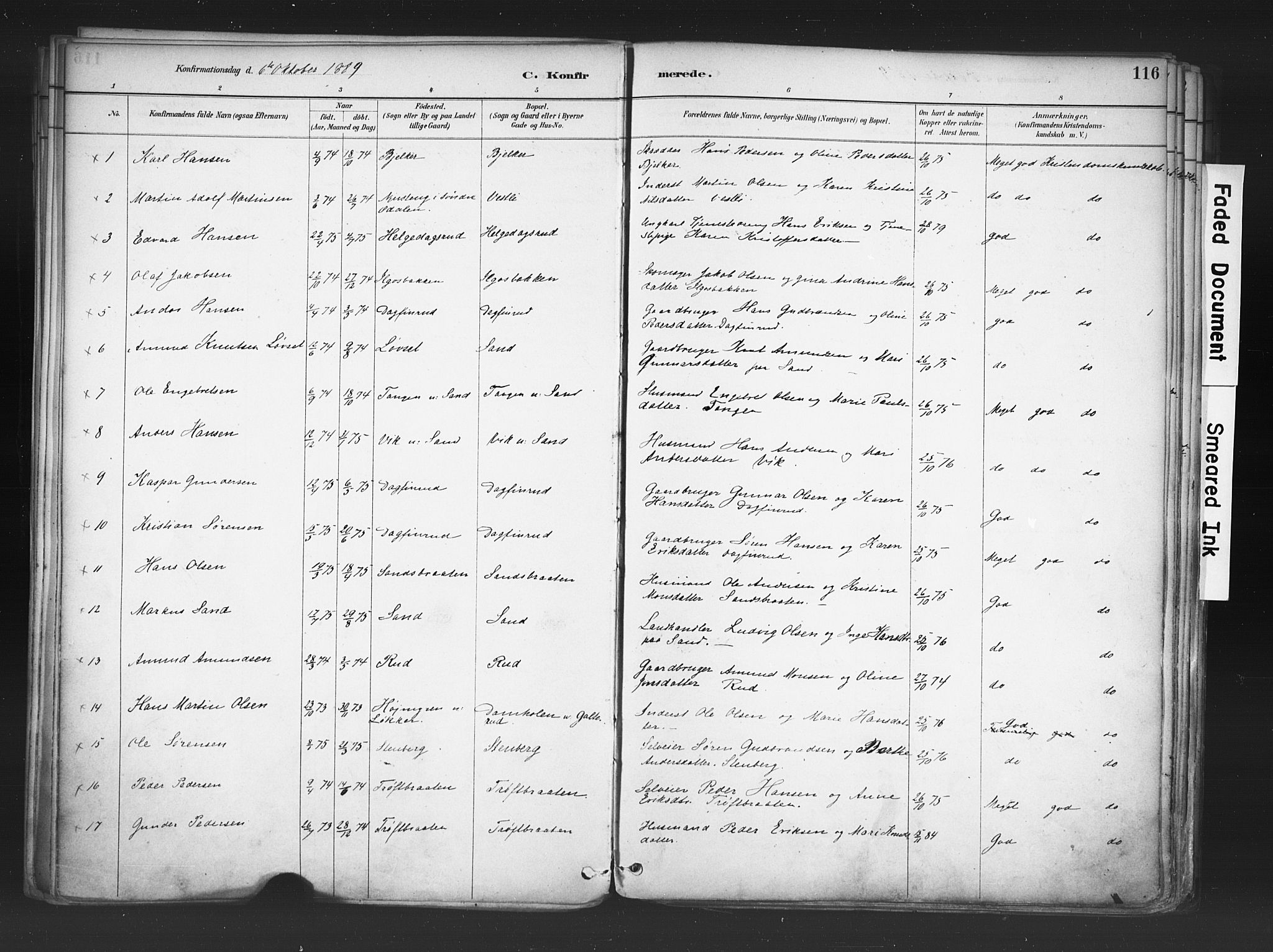 Nord-Odal prestekontor, AV/SAH-PREST-032/H/Ha/Haa/L0006: Parish register (official) no. 6, 1886-1901, p. 116