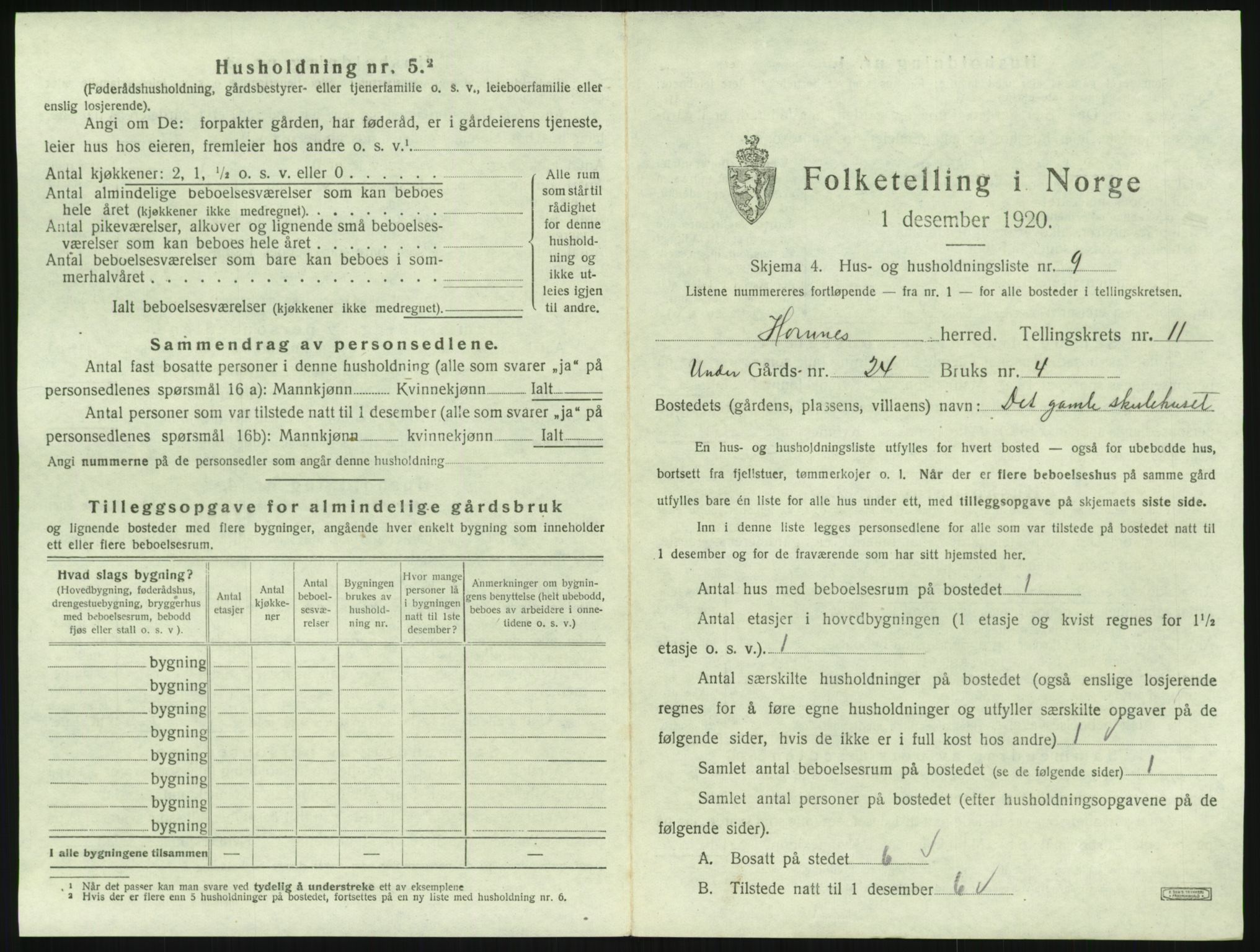 SAK, 1920 census for Hornnes, 1920, p. 447