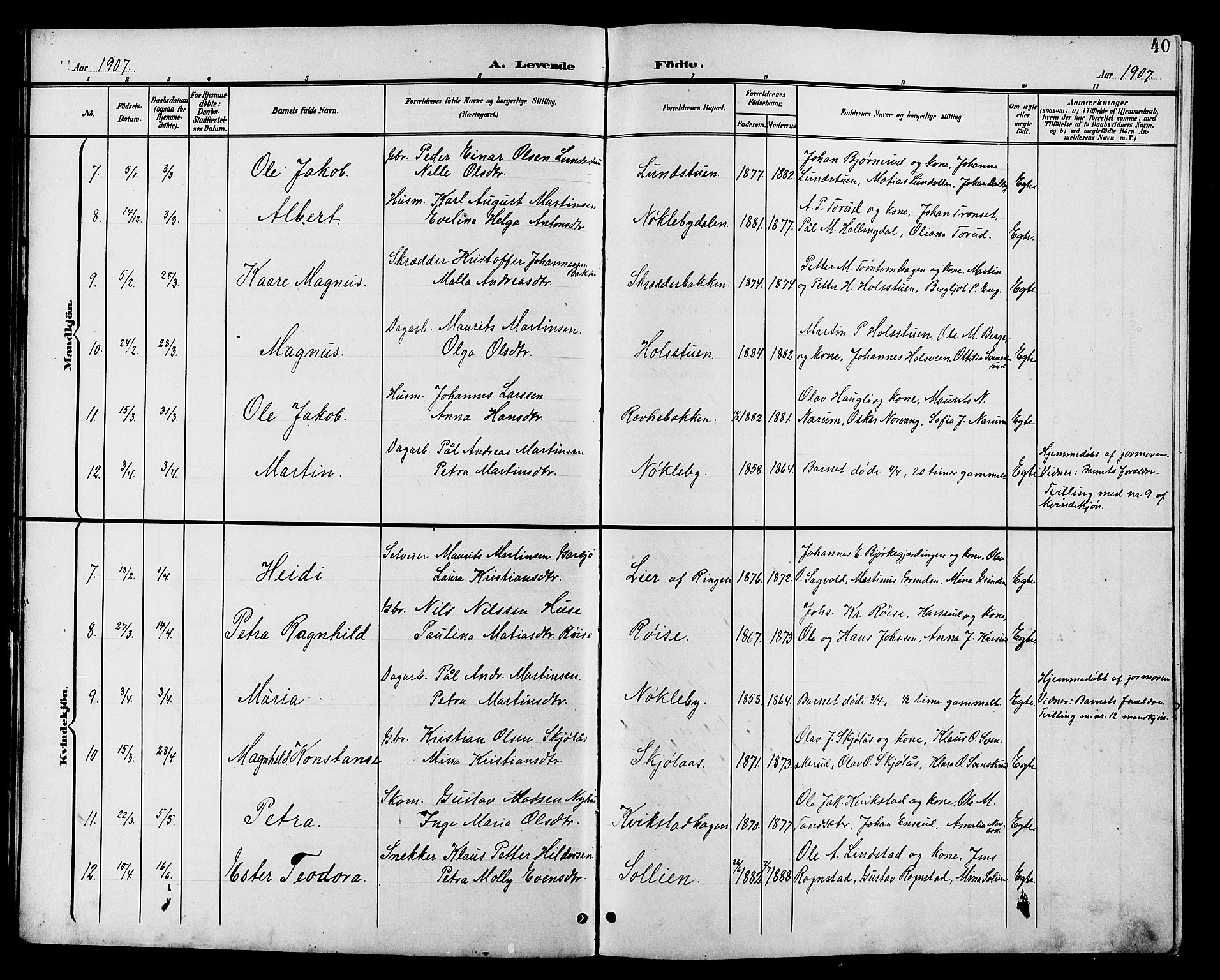 Vestre Toten prestekontor, SAH/PREST-108/H/Ha/Hab/L0011: Parish register (copy) no. 11, 1901-1911, p. 40