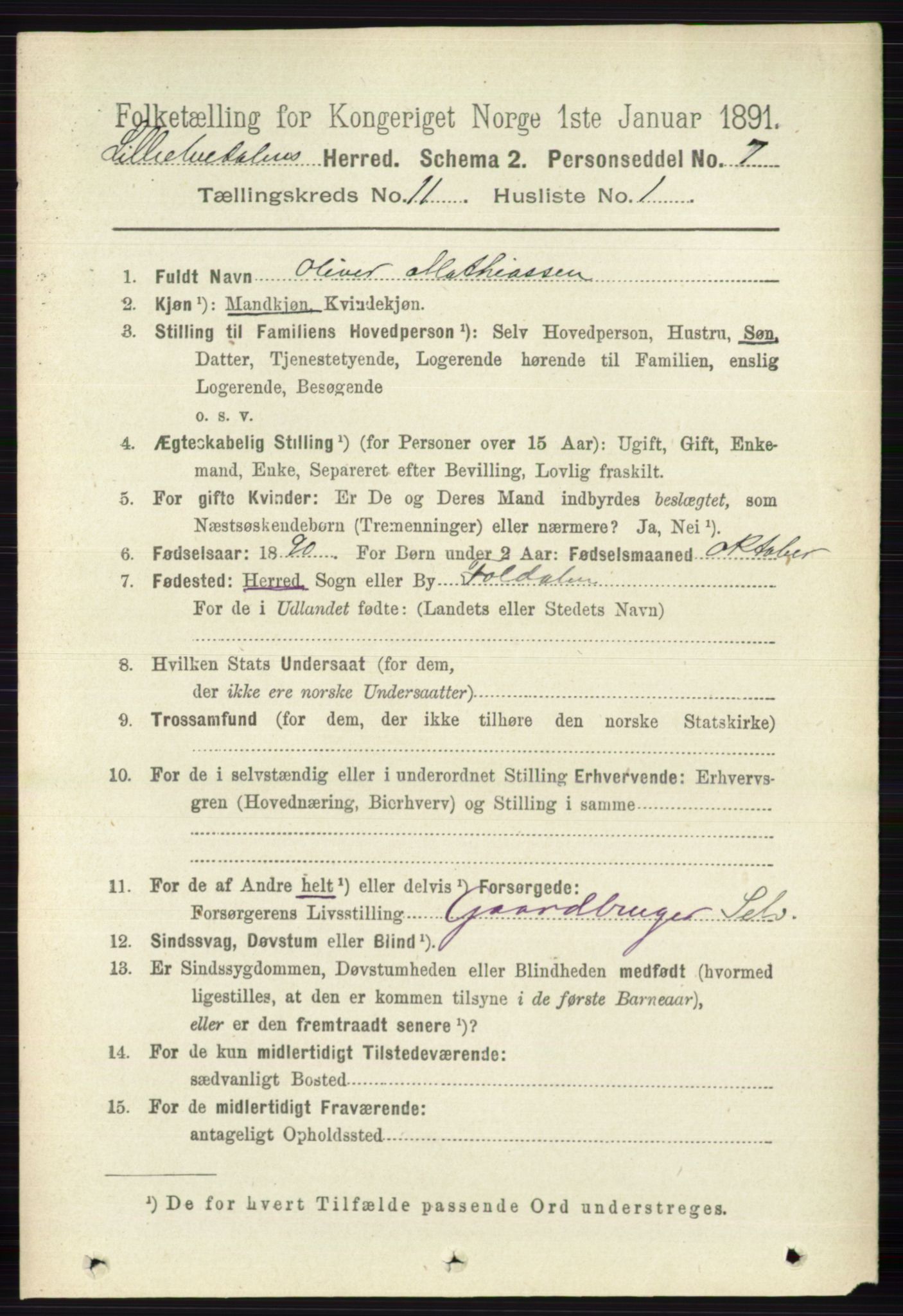 RA, 1891 census for 0438 Lille Elvedalen, 1891, p. 3799