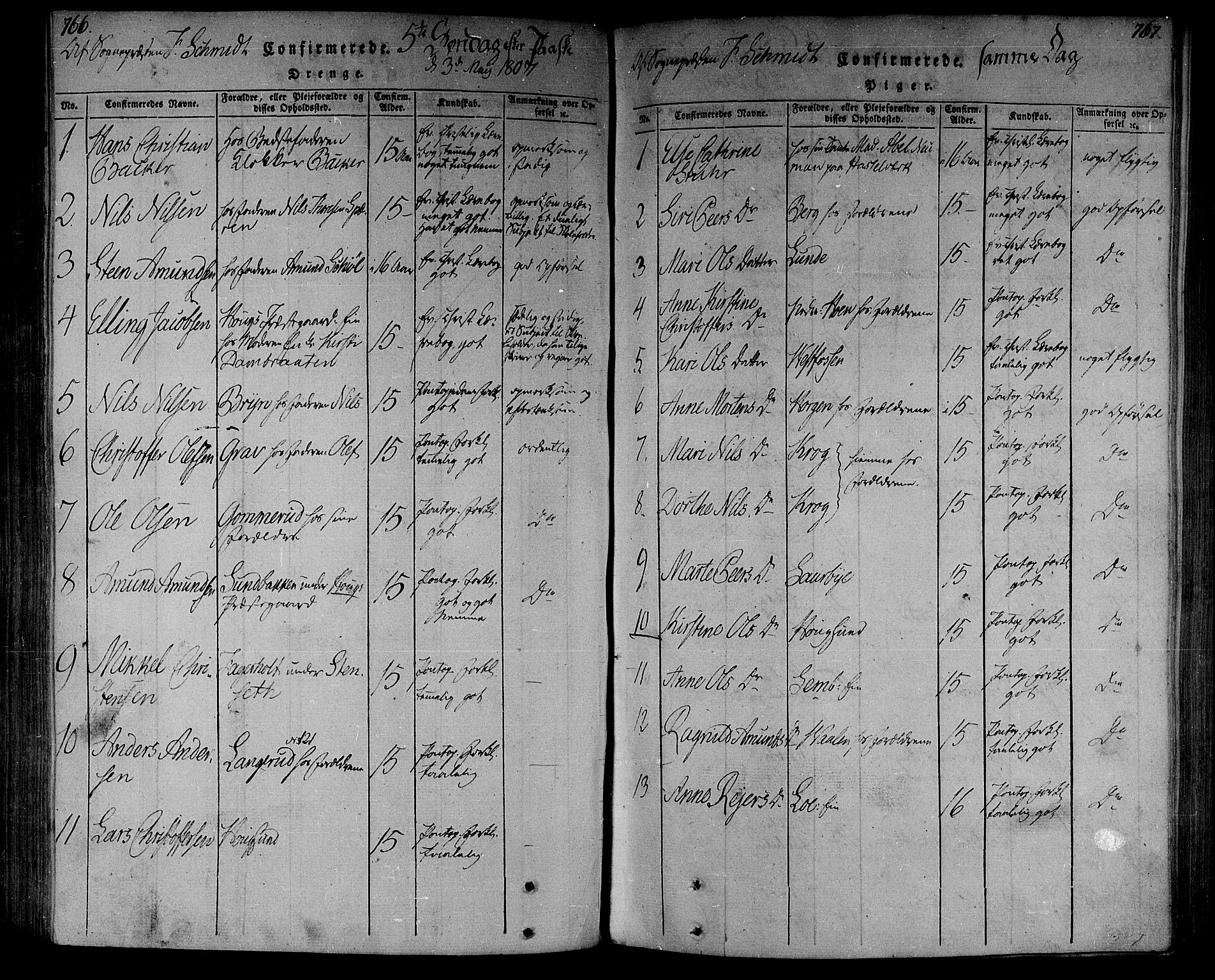 Eiker kirkebøker, SAKO/A-4/F/Fa/L0010: Parish register (official) no. I 10, 1806-1815, p. 766-767