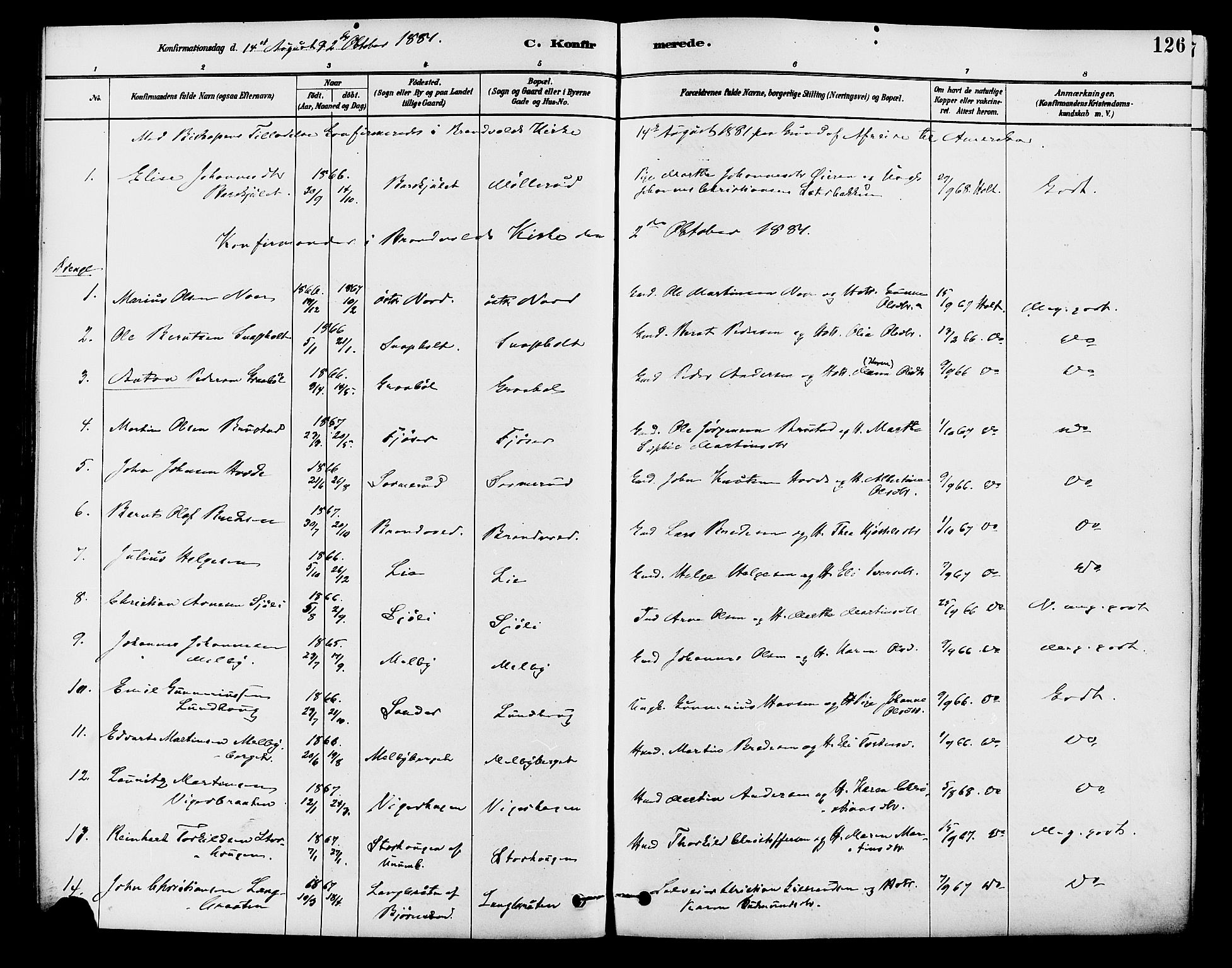 Brandval prestekontor, SAH/PREST-034/H/Ha/Haa/L0002: Parish register (official) no. 2, 1880-1894, p. 126