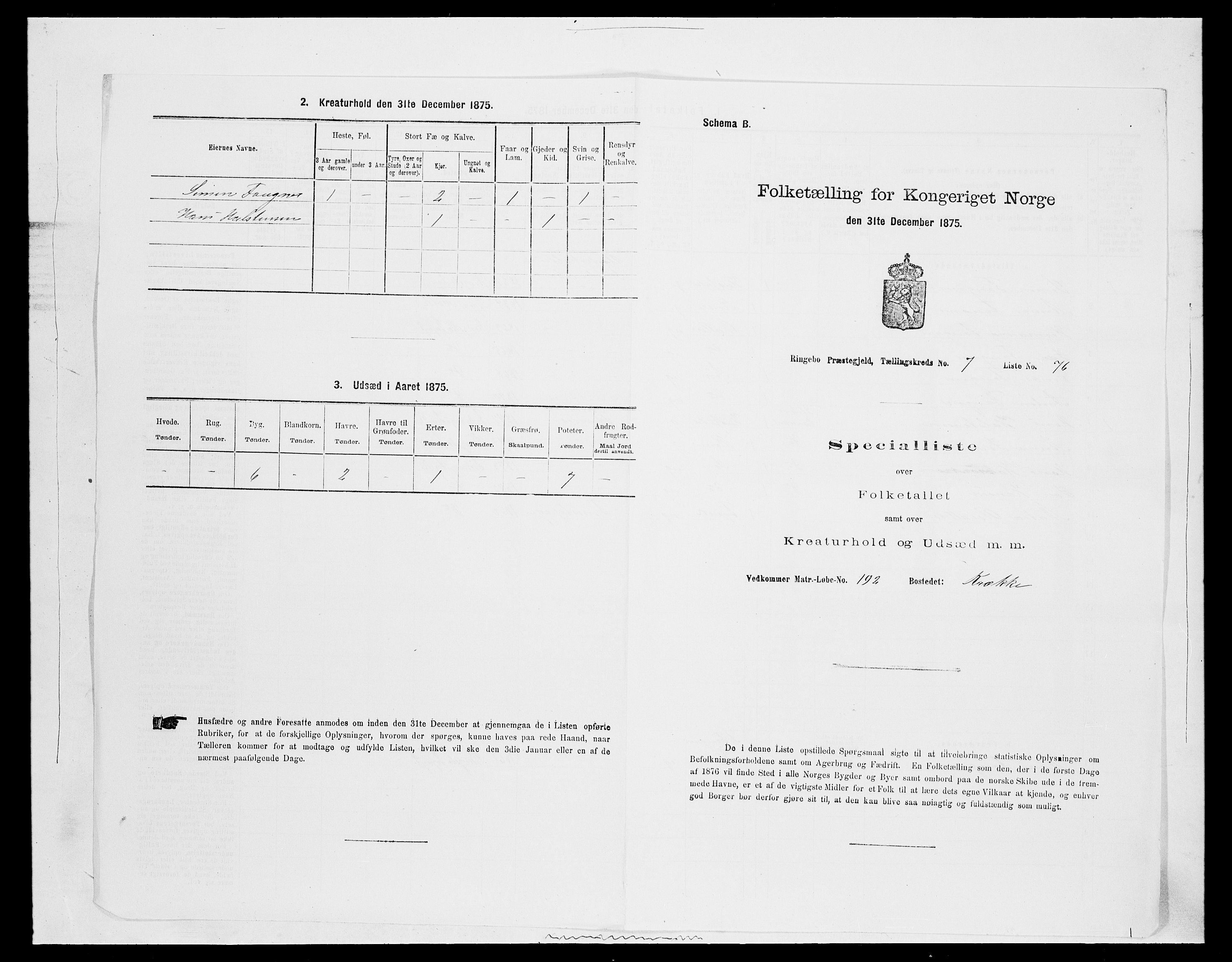 SAH, 1875 census for 0520P Ringebu, 1875, p. 1159