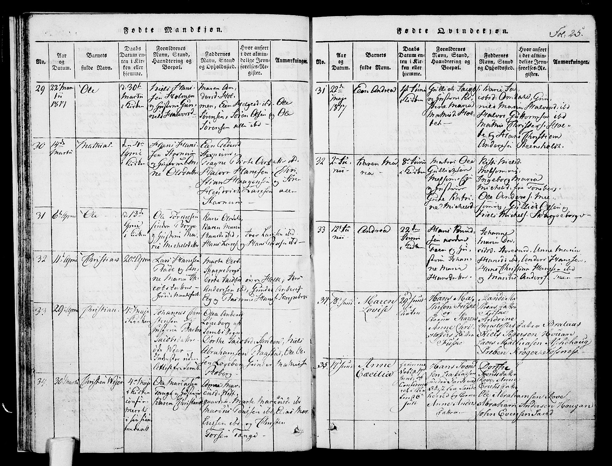 Stokke kirkebøker, AV/SAKO-A-320/F/Fa/L0005: Parish register (official) no. I 5, 1815-1826, p. 25