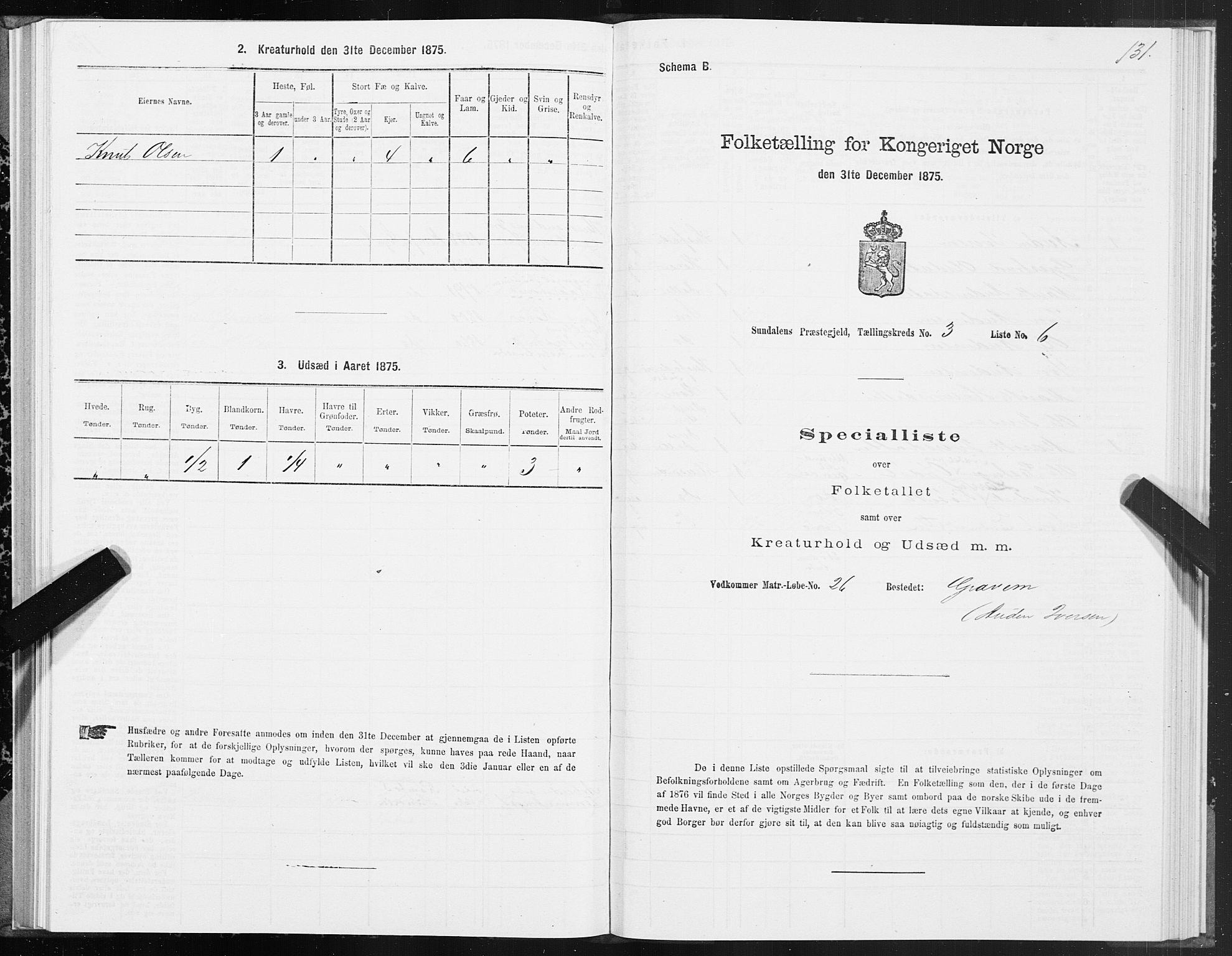 SAT, 1875 census for 1563P Sunndal, 1875, p. 1131