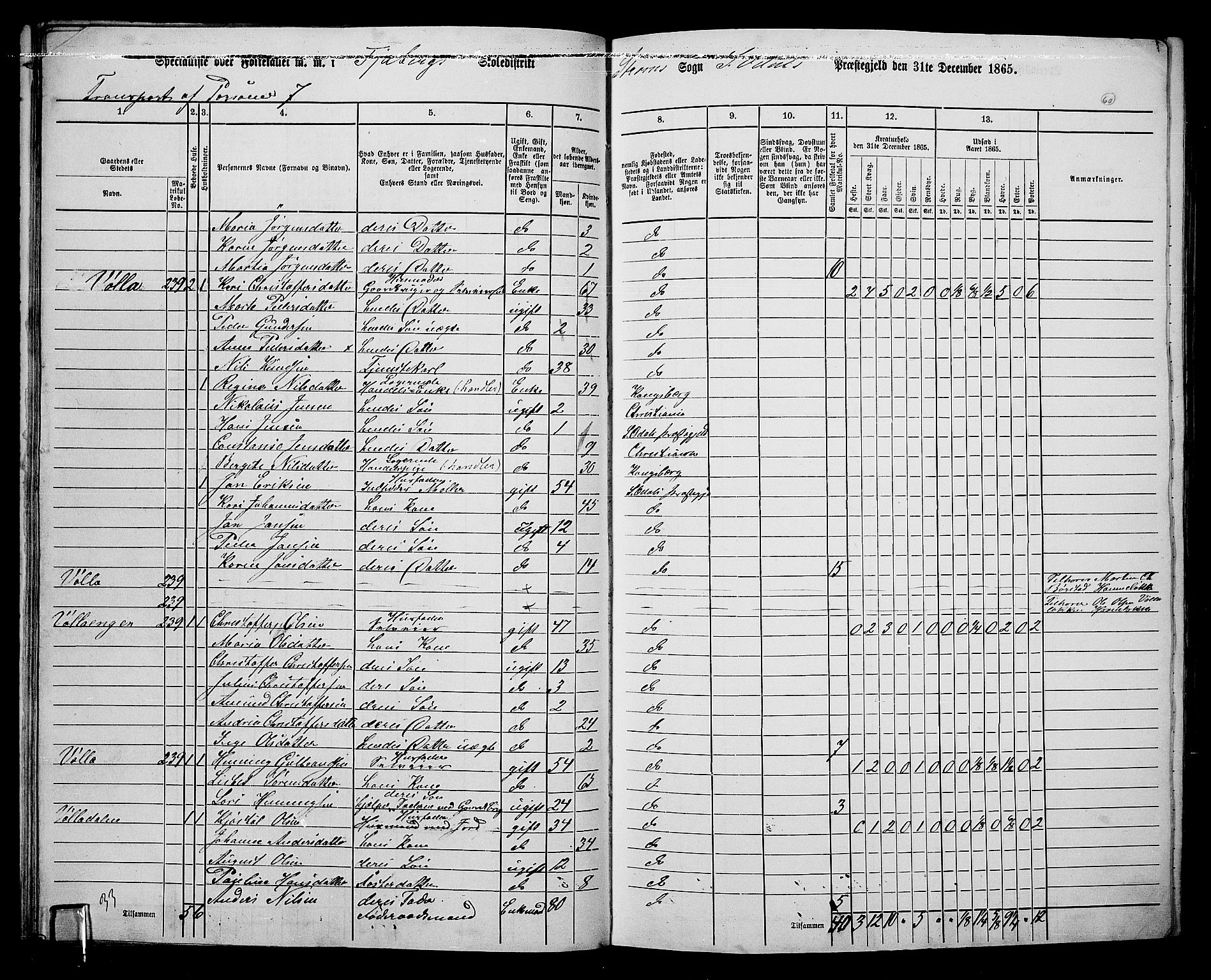 RA, 1865 census for Sør-Odal, 1865, p. 52