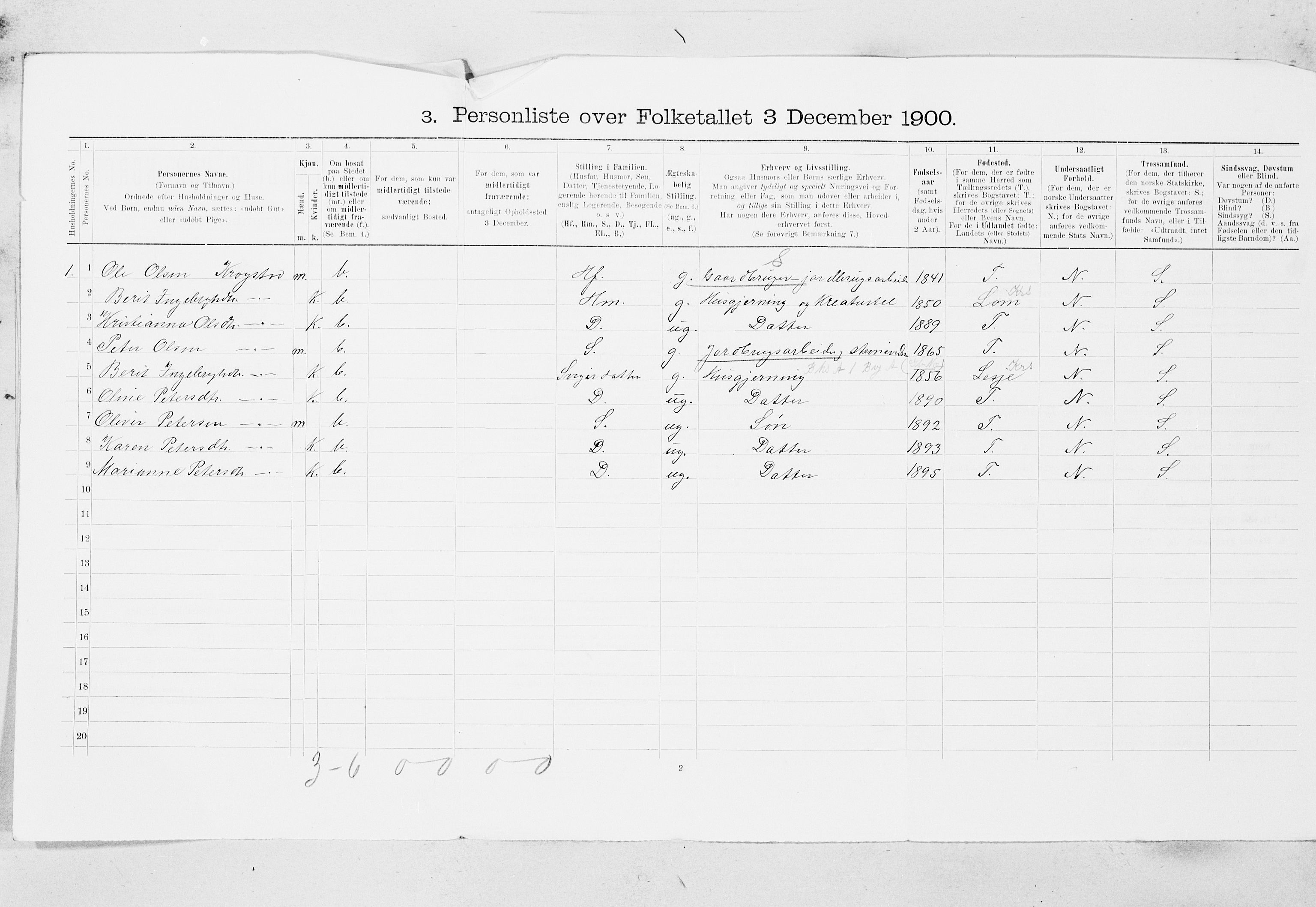 SAT, 1900 census for Hølonda, 1900, p. 9