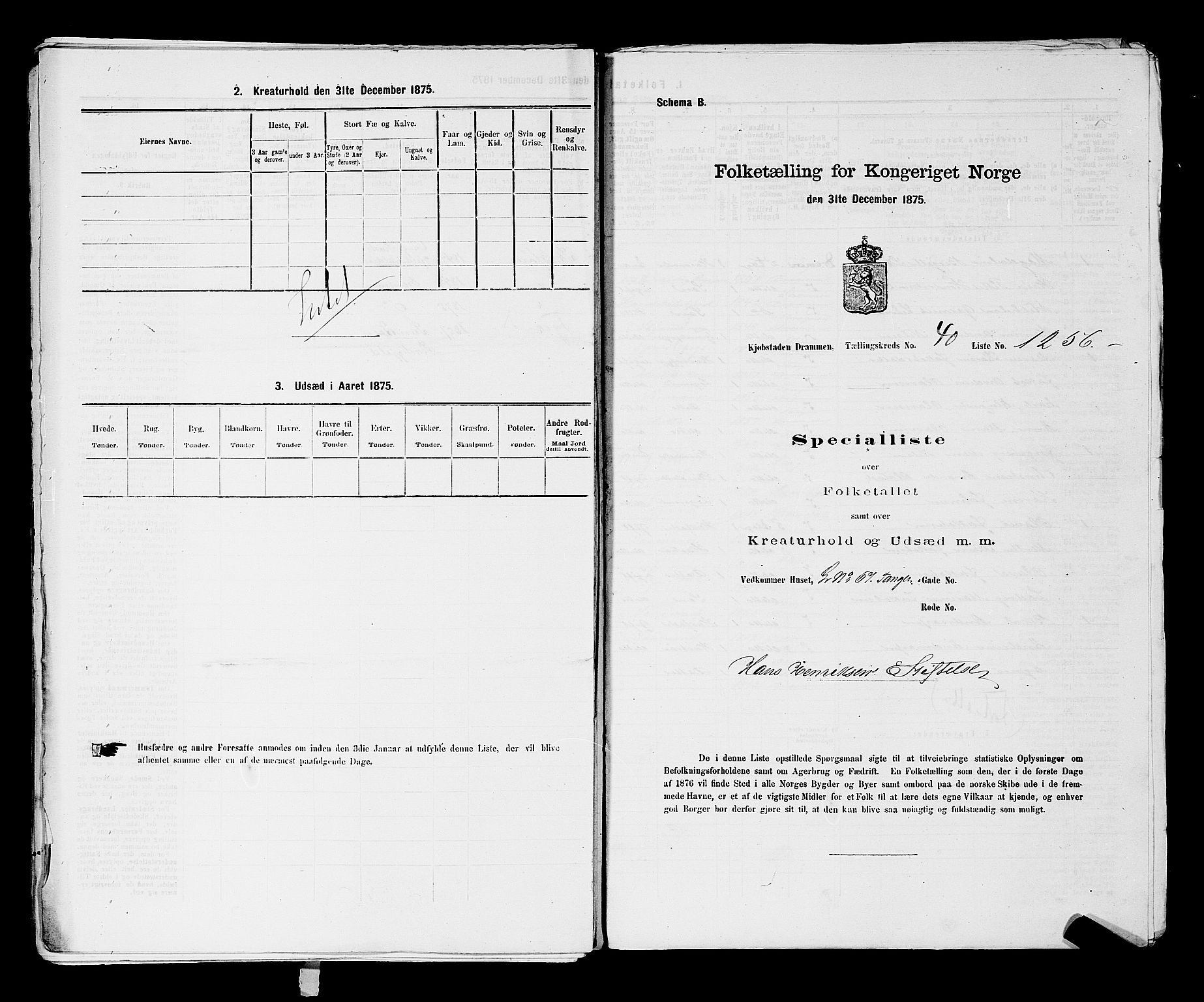 SAKO, 1875 census for 0602 Drammen, 1875, p. 3443