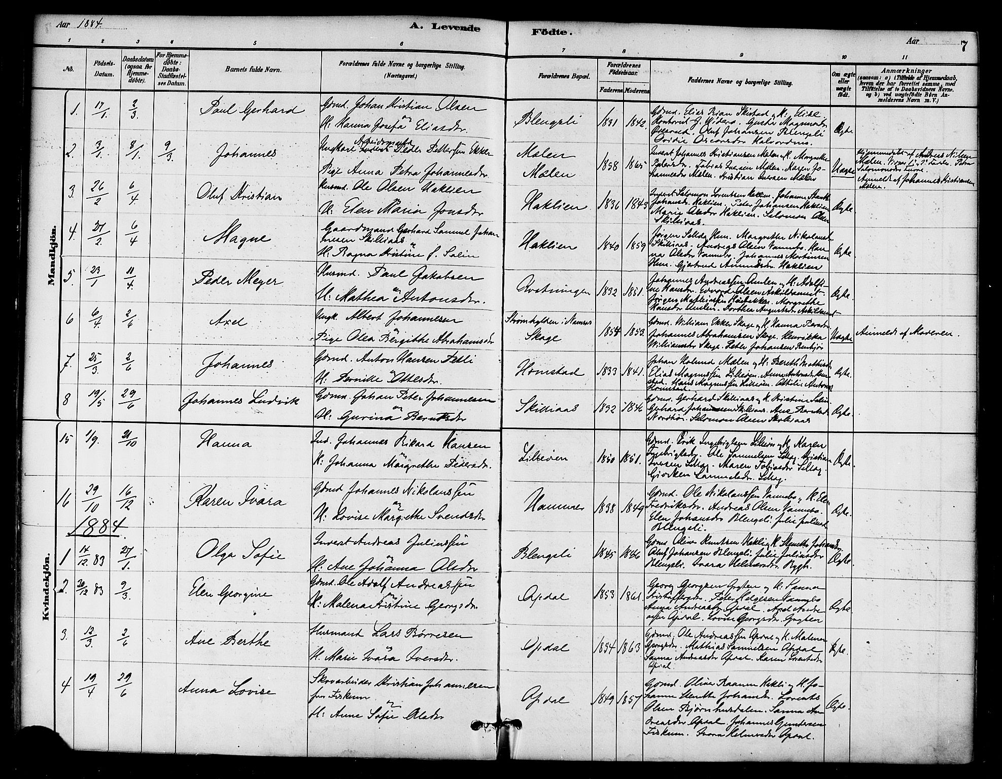 Ministerialprotokoller, klokkerbøker og fødselsregistre - Nord-Trøndelag, SAT/A-1458/766/L0563: Parish register (official) no. 767A01, 1881-1899, p. 7