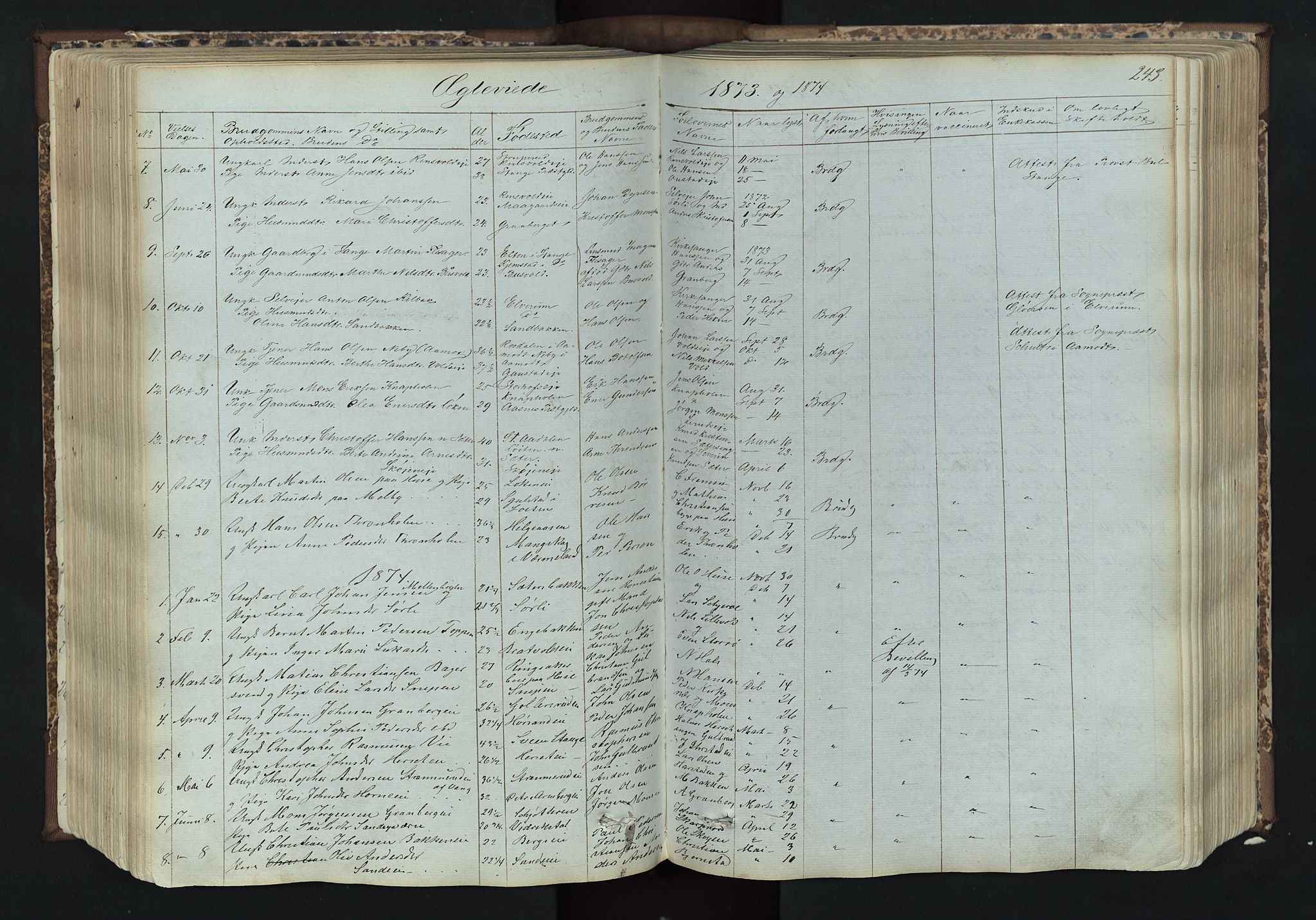 Romedal prestekontor, SAH/PREST-004/L/L0011: Parish register (copy) no. 11, 1867-1895, p. 243