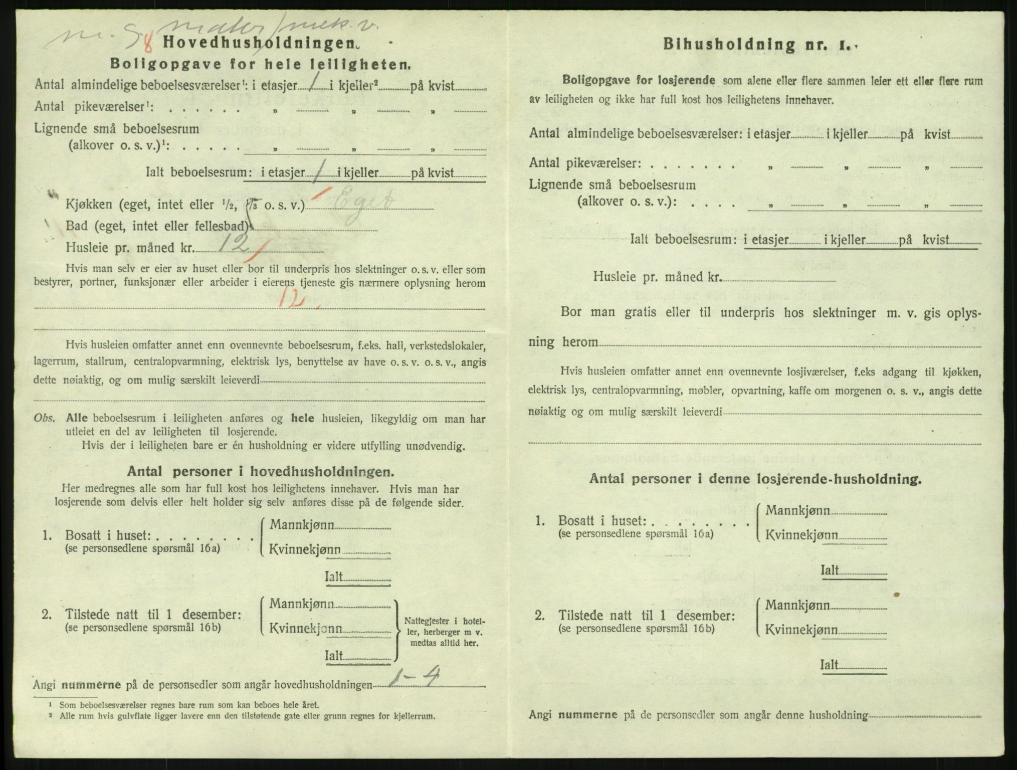 SAKO, 1920 census for Larvik, 1920, p. 8347