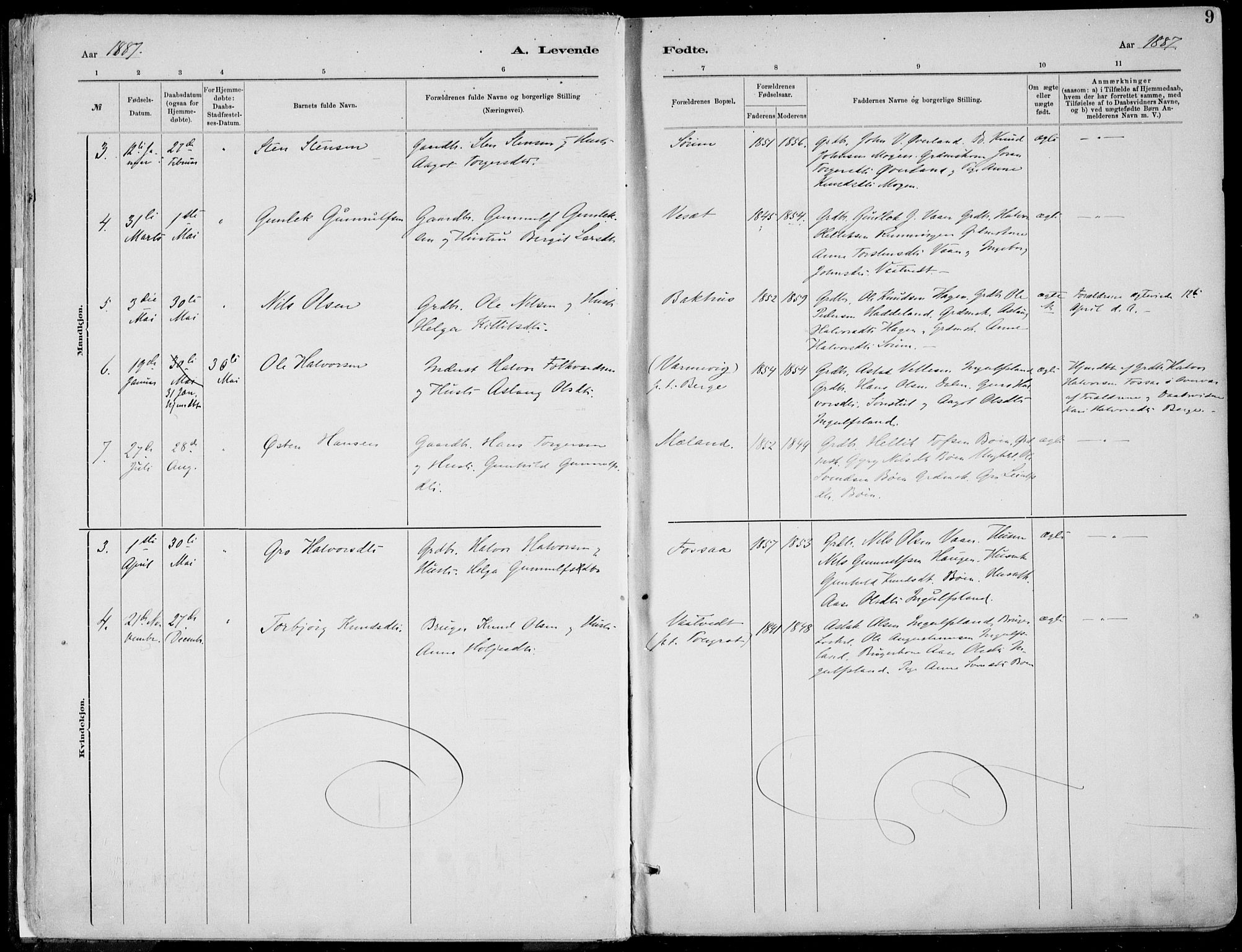 Rjukan kirkebøker, SAKO/A-294/F/Fa/L0001: Parish register (official) no. 1, 1878-1912, p. 9