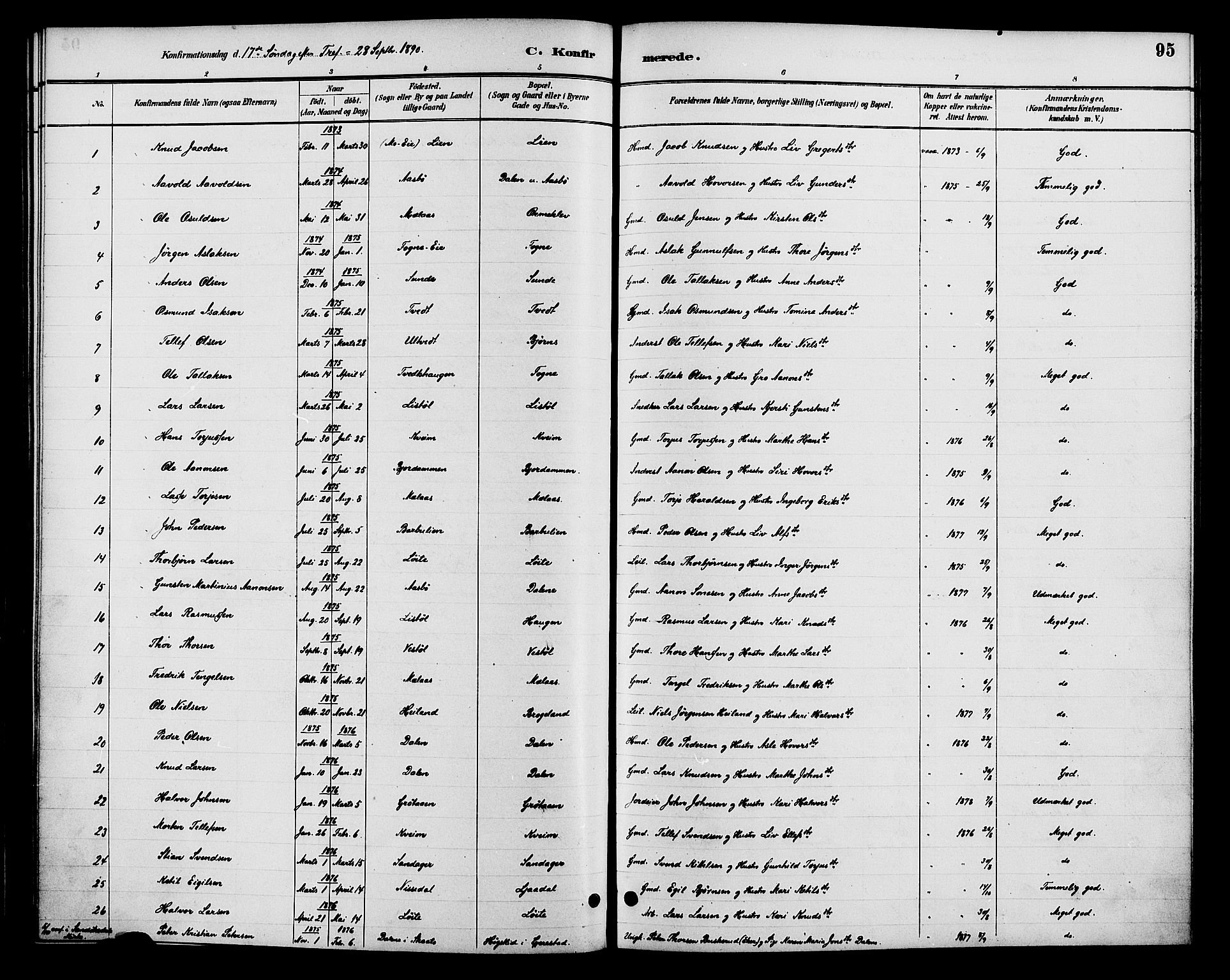 Gjerstad sokneprestkontor, AV/SAK-1111-0014/F/Fa/Faa/L0009: Parish register (official) no. A 9, 1885-1890, p. 95