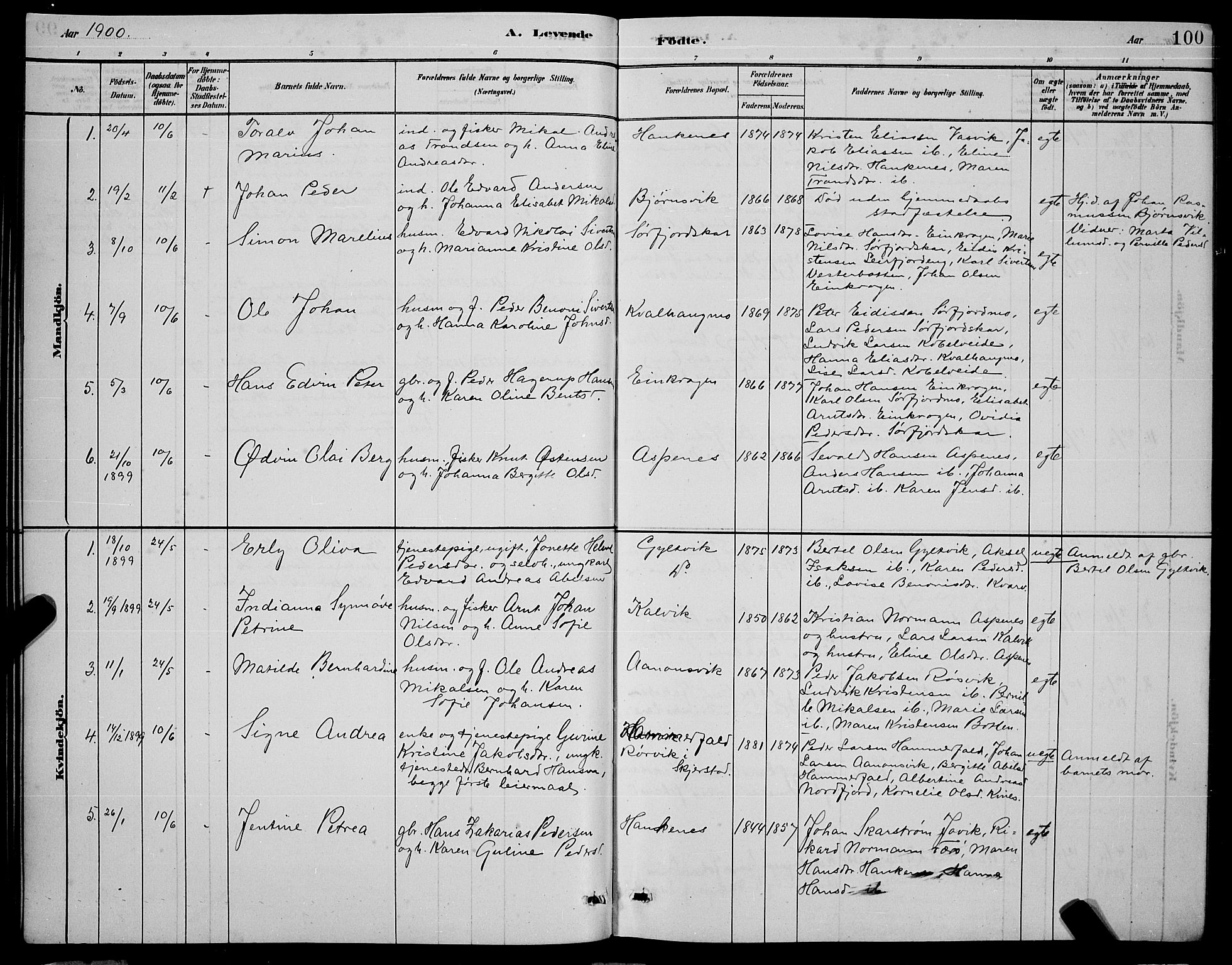 Ministerialprotokoller, klokkerbøker og fødselsregistre - Nordland, AV/SAT-A-1459/853/L0772: Parish register (official) no. 853A11, 1881-1900, p. 100