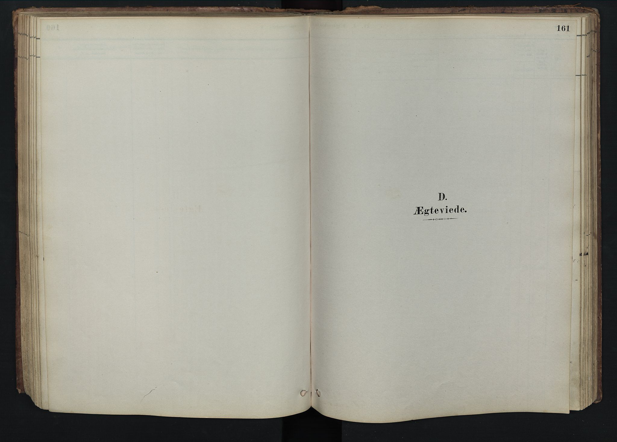 Rendalen prestekontor, SAH/PREST-054/H/Ha/Hab/L0009: Parish register (copy) no. 9, 1879-1902, p. 161