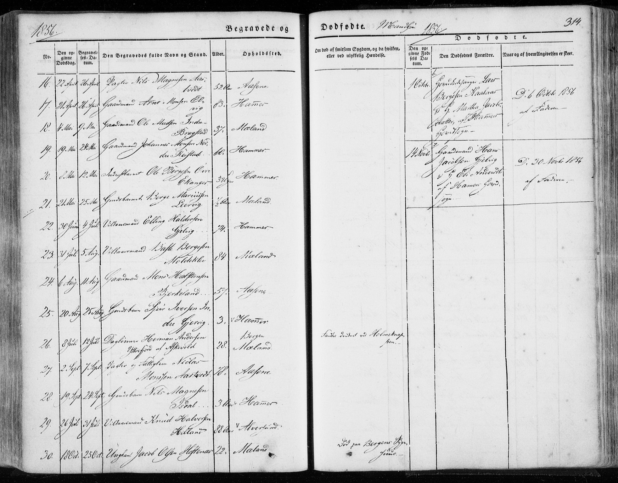 Hamre sokneprestembete, SAB/A-75501/H/Ha/Haa/Haaa/L0013: Parish register (official) no. A 13, 1846-1857, p. 314