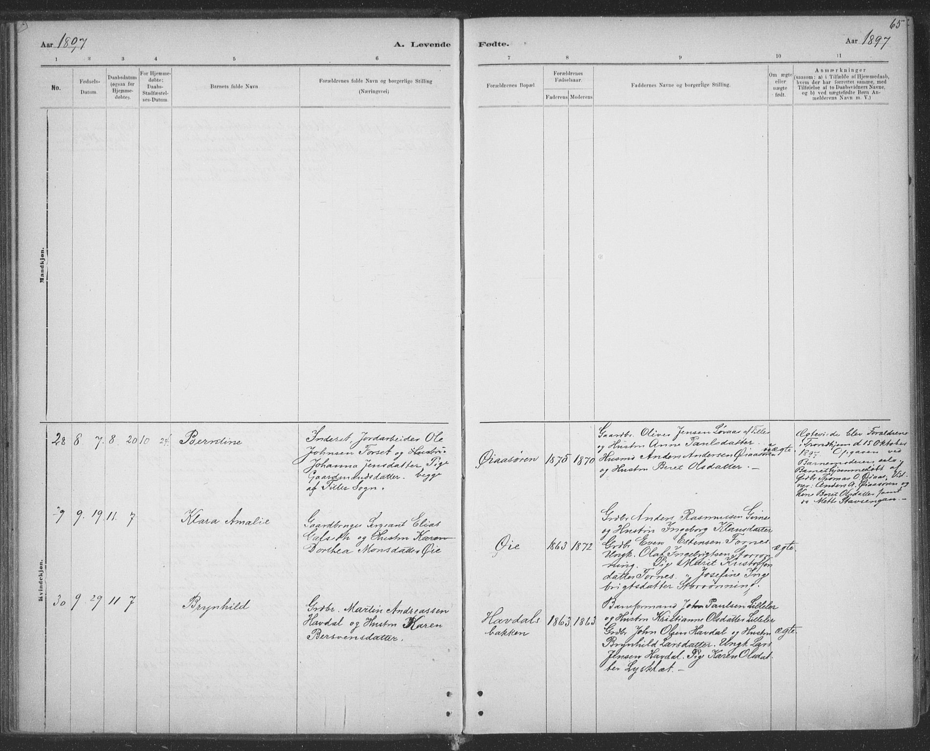 Ministerialprotokoller, klokkerbøker og fødselsregistre - Sør-Trøndelag, AV/SAT-A-1456/691/L1085: Parish register (official) no. 691A17, 1887-1908, p. 65