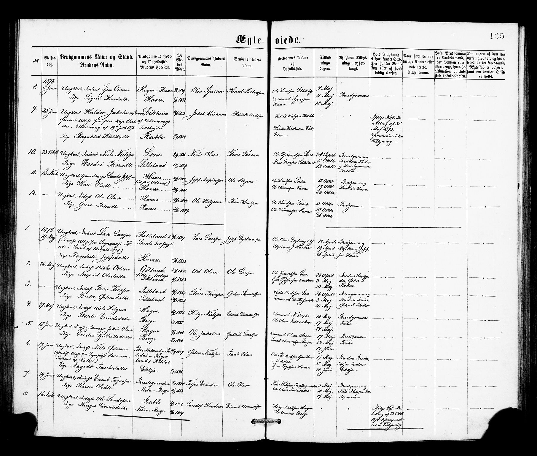 Røldal sokneprestembete, SAB/A-100247: Parish register (official) no. A 4, 1870-1886, p. 135