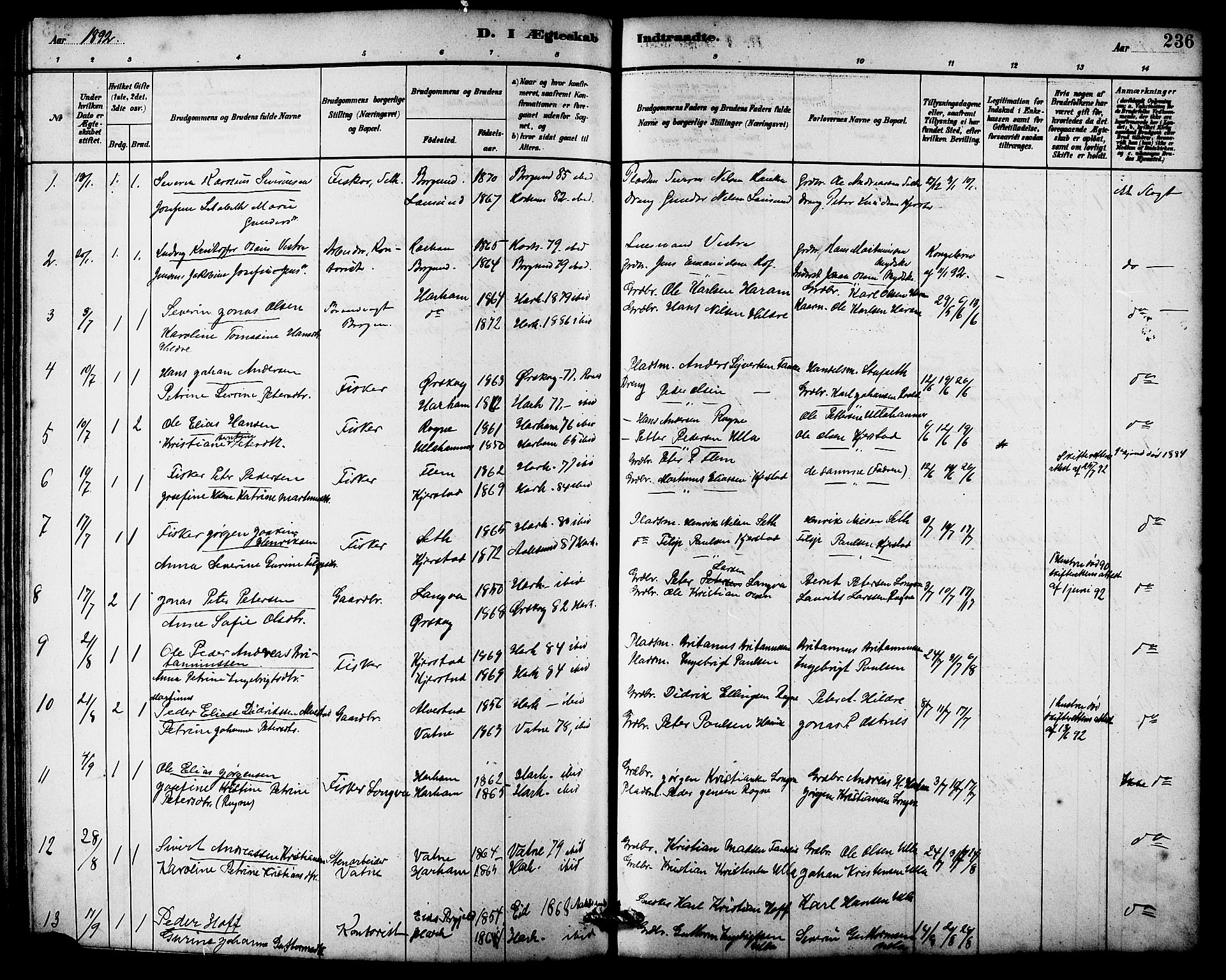 Ministerialprotokoller, klokkerbøker og fødselsregistre - Møre og Romsdal, AV/SAT-A-1454/536/L0510: Parish register (copy) no. 536C05, 1881-1898, p. 236