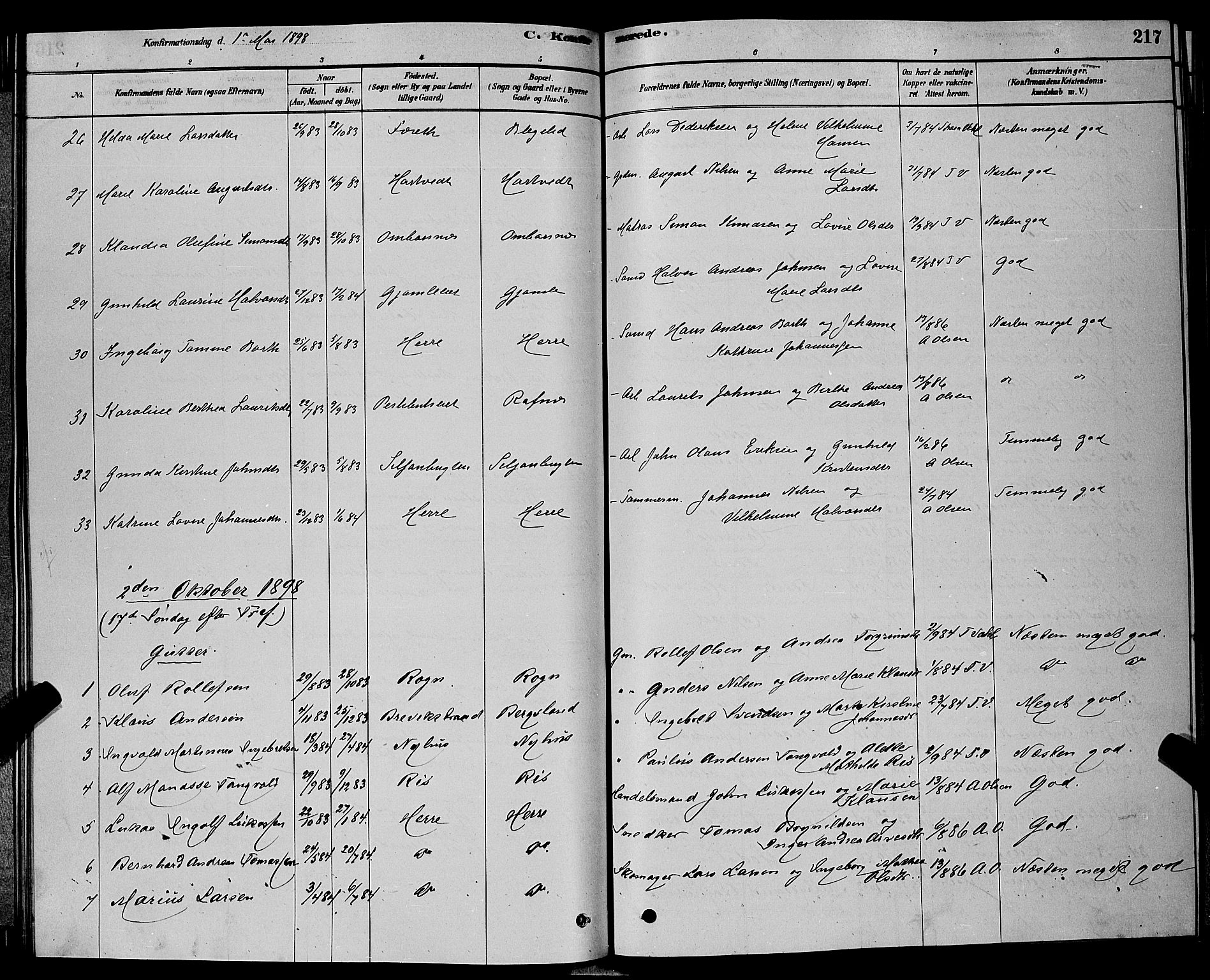 Bamble kirkebøker, AV/SAKO-A-253/G/Ga/L0008: Parish register (copy) no. I 8, 1878-1888, p. 217