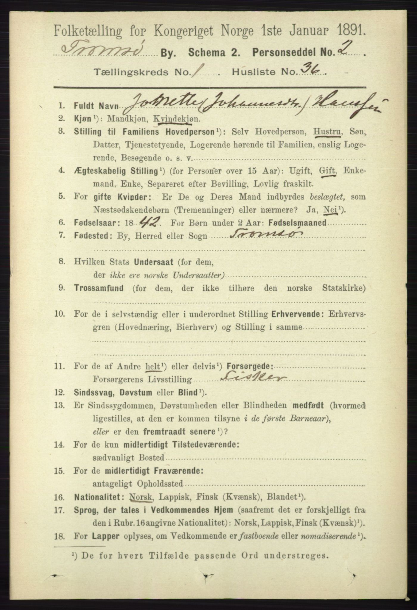 RA, 1891 census for 1902 Tromsø, 1891, p. 621