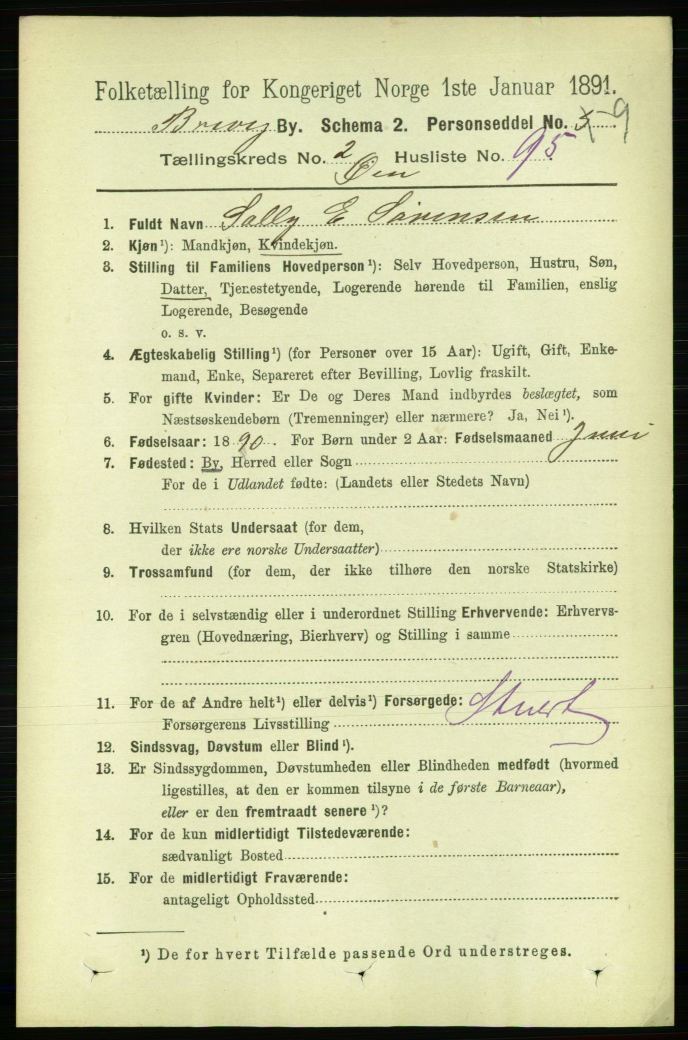 RA, 1891 census for 0804 Brevik, 1891, p. 2148