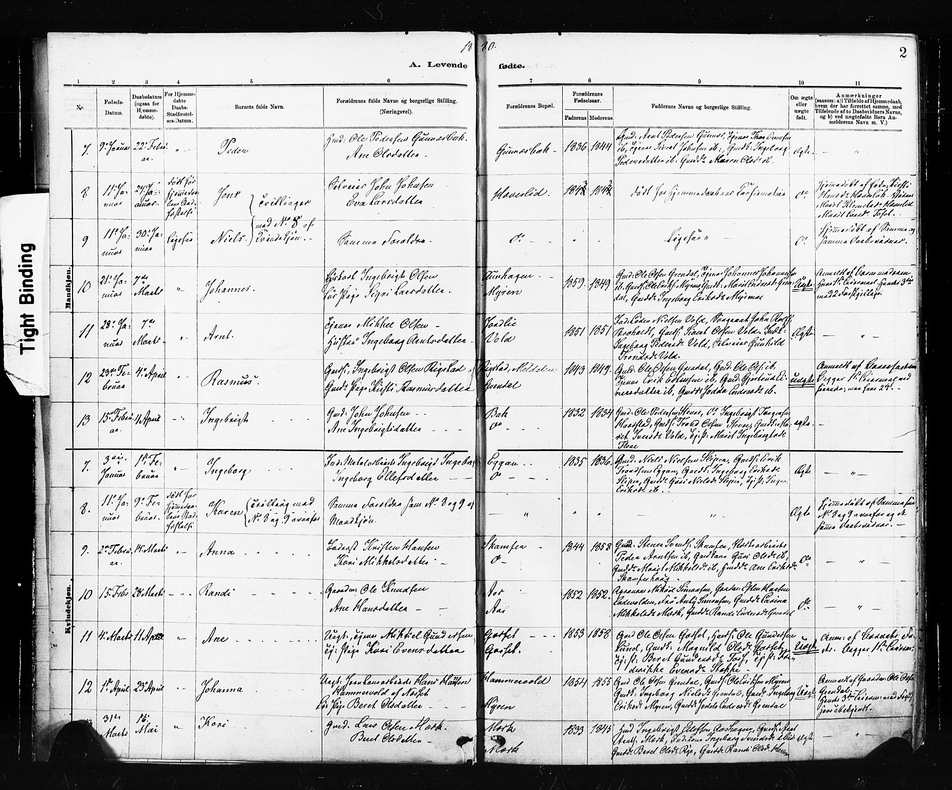 Ministerialprotokoller, klokkerbøker og fødselsregistre - Sør-Trøndelag, SAT/A-1456/674/L0871: Parish register (official) no. 674A03, 1880-1896, p. 2